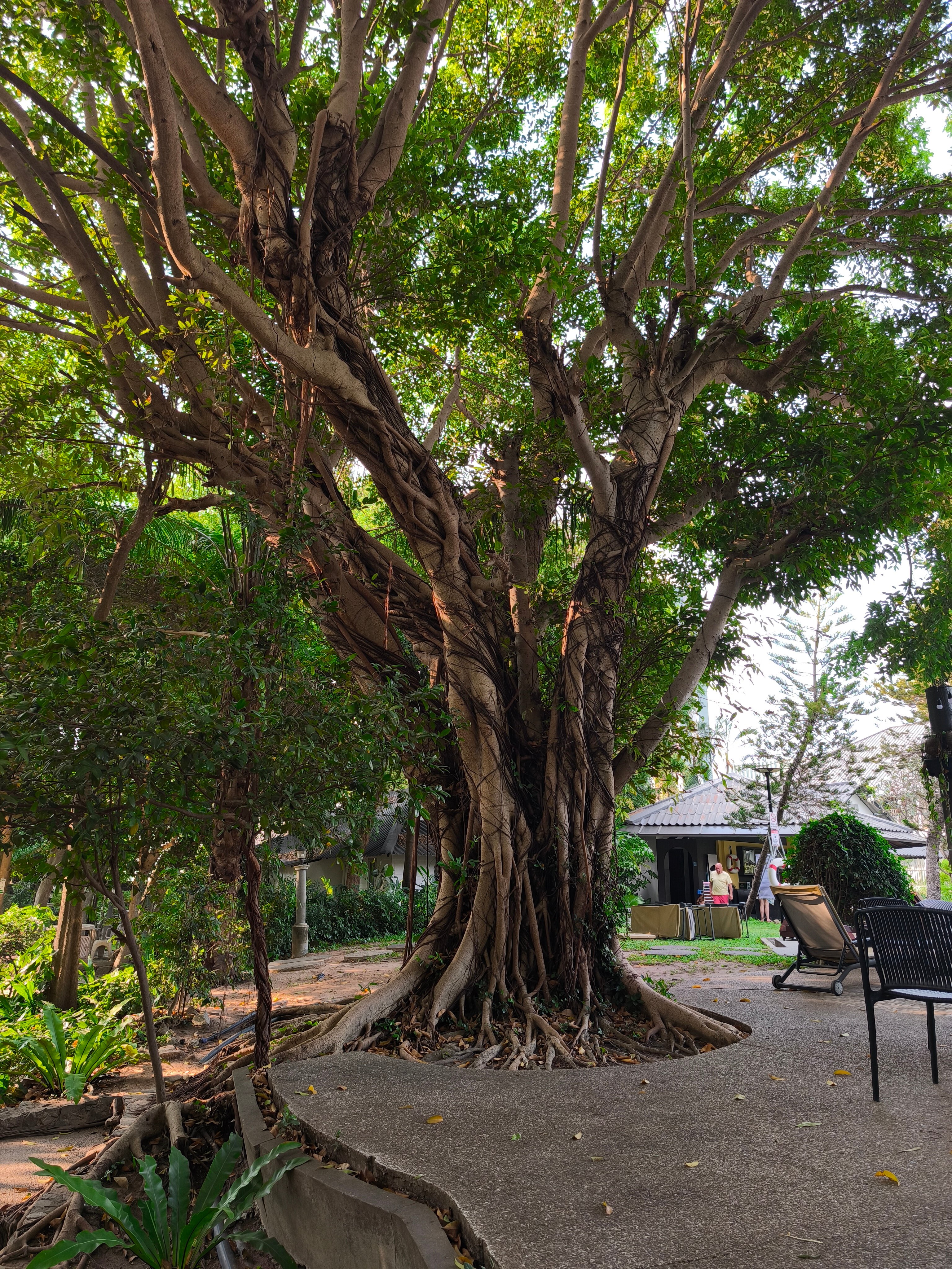 Фото Sunshine Garden Resort