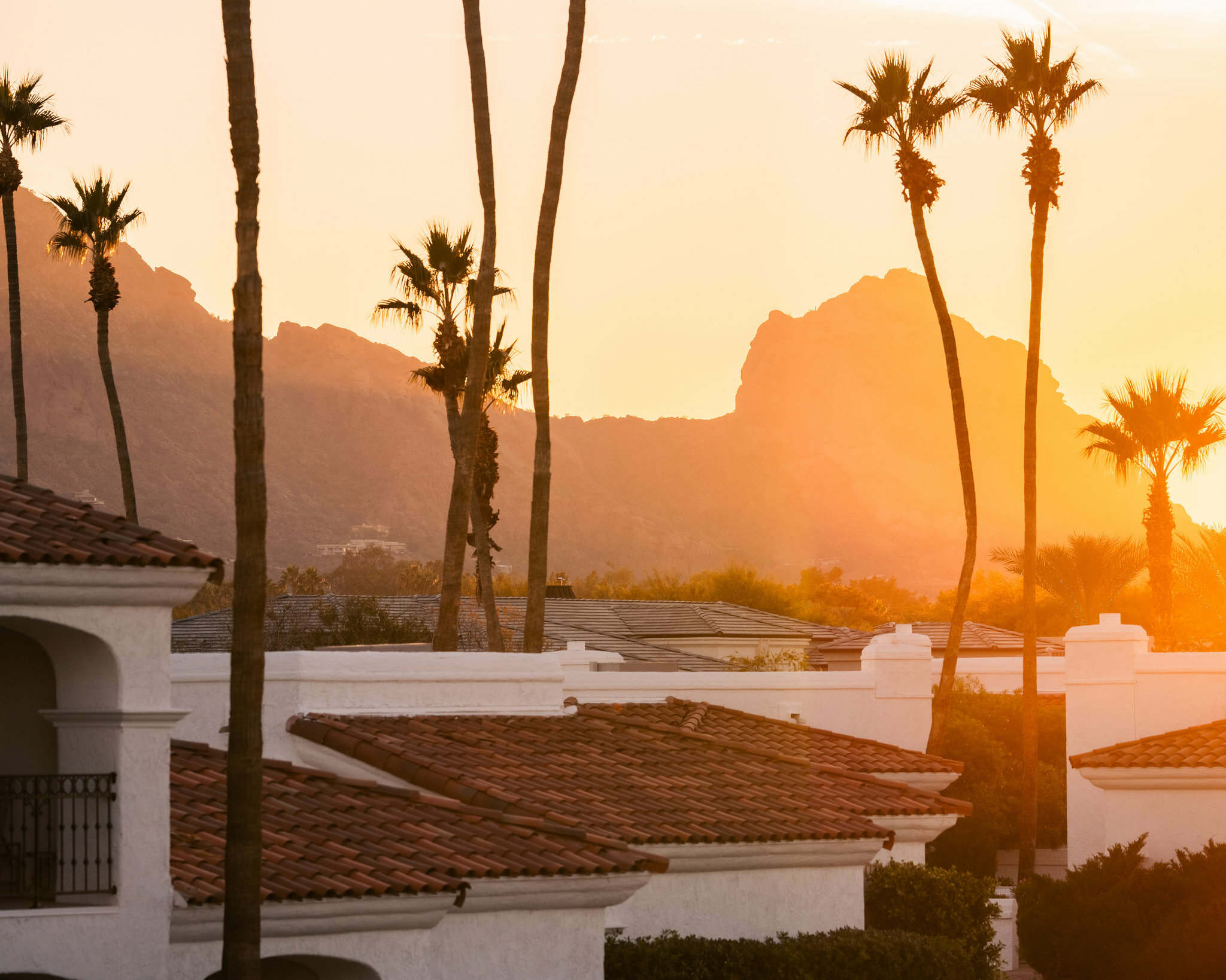 Фото 208138995897