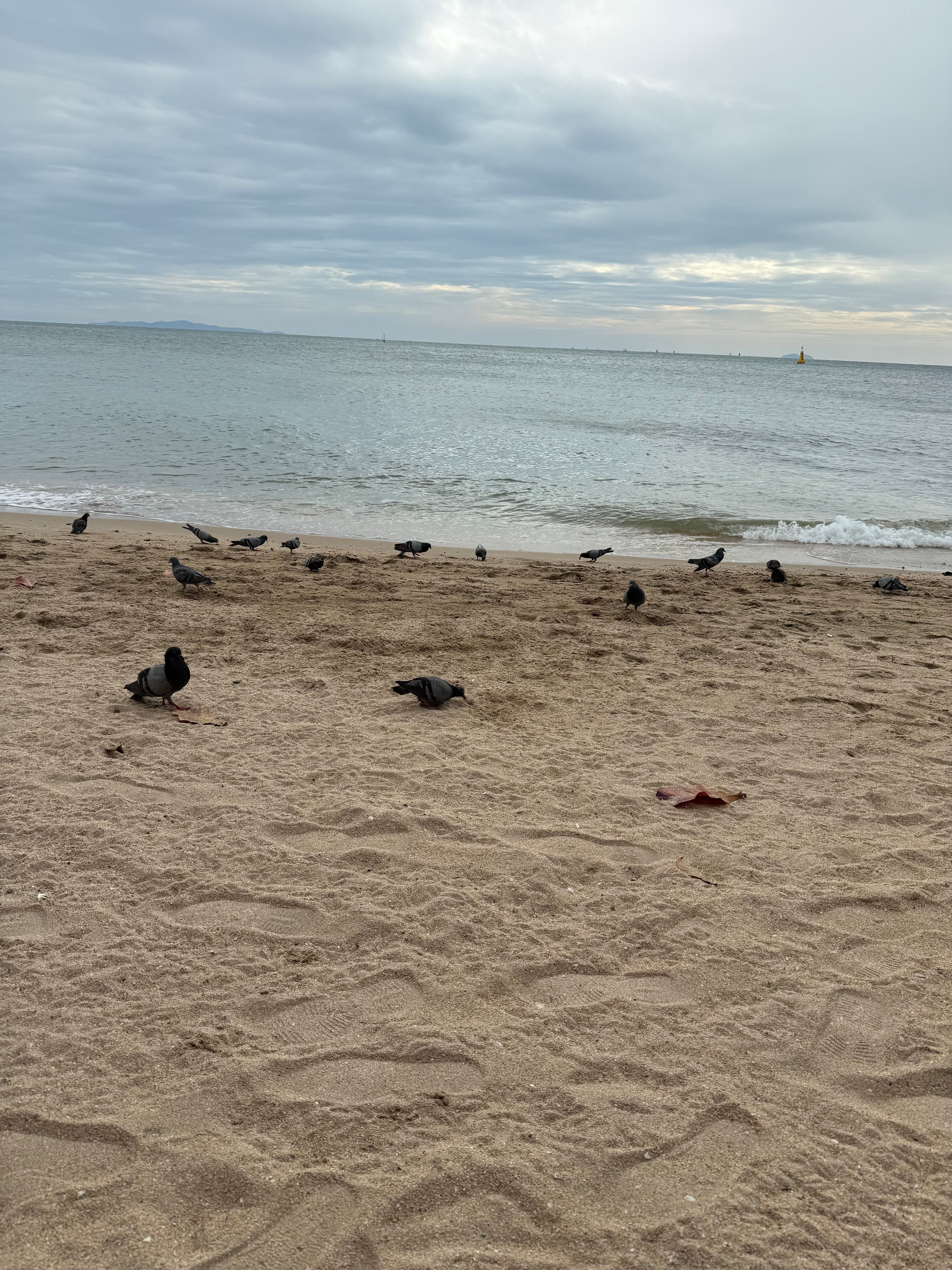 Фото Adriatic Palace Hotel