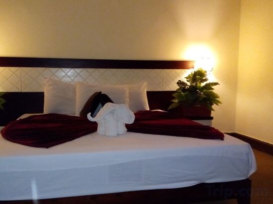 Фото Cairo Paradise