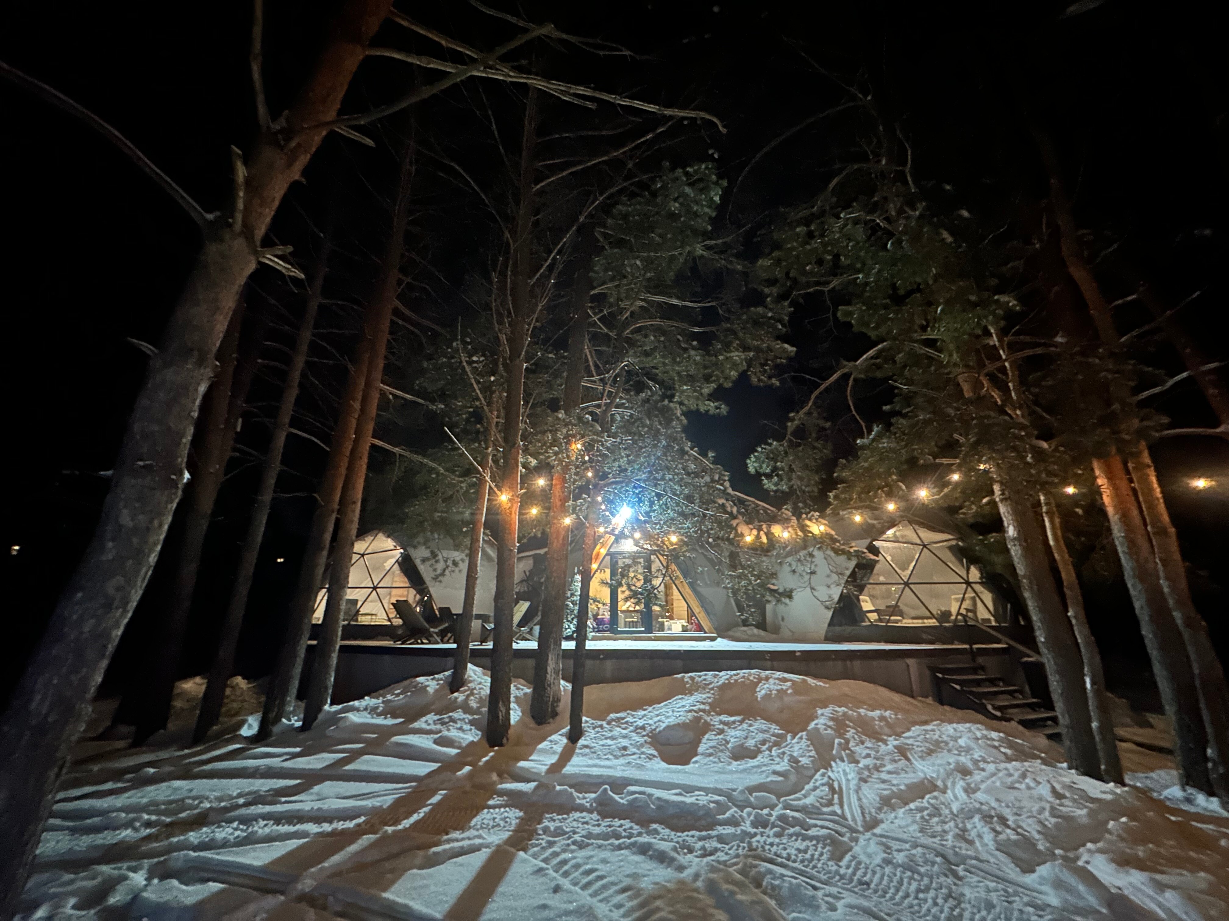 Фото Йола