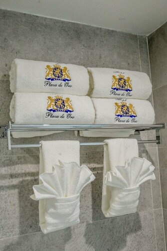 Гостиница Hotel Plaza de Oro в Штате Нуэво-Леон