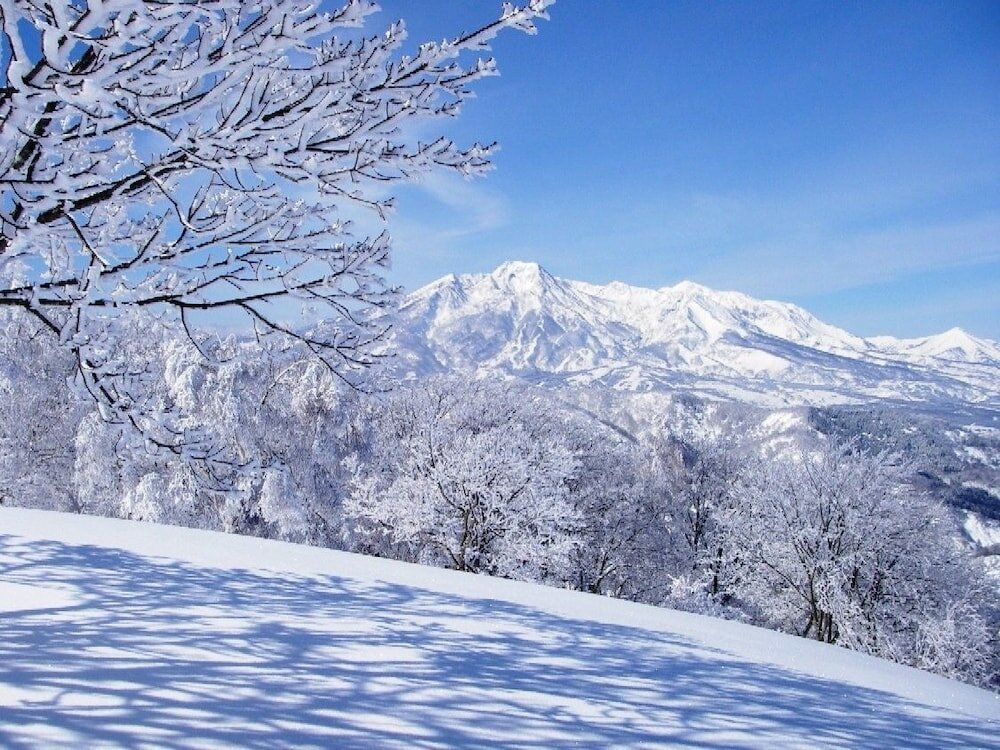 Фото Madarao Elm Pension