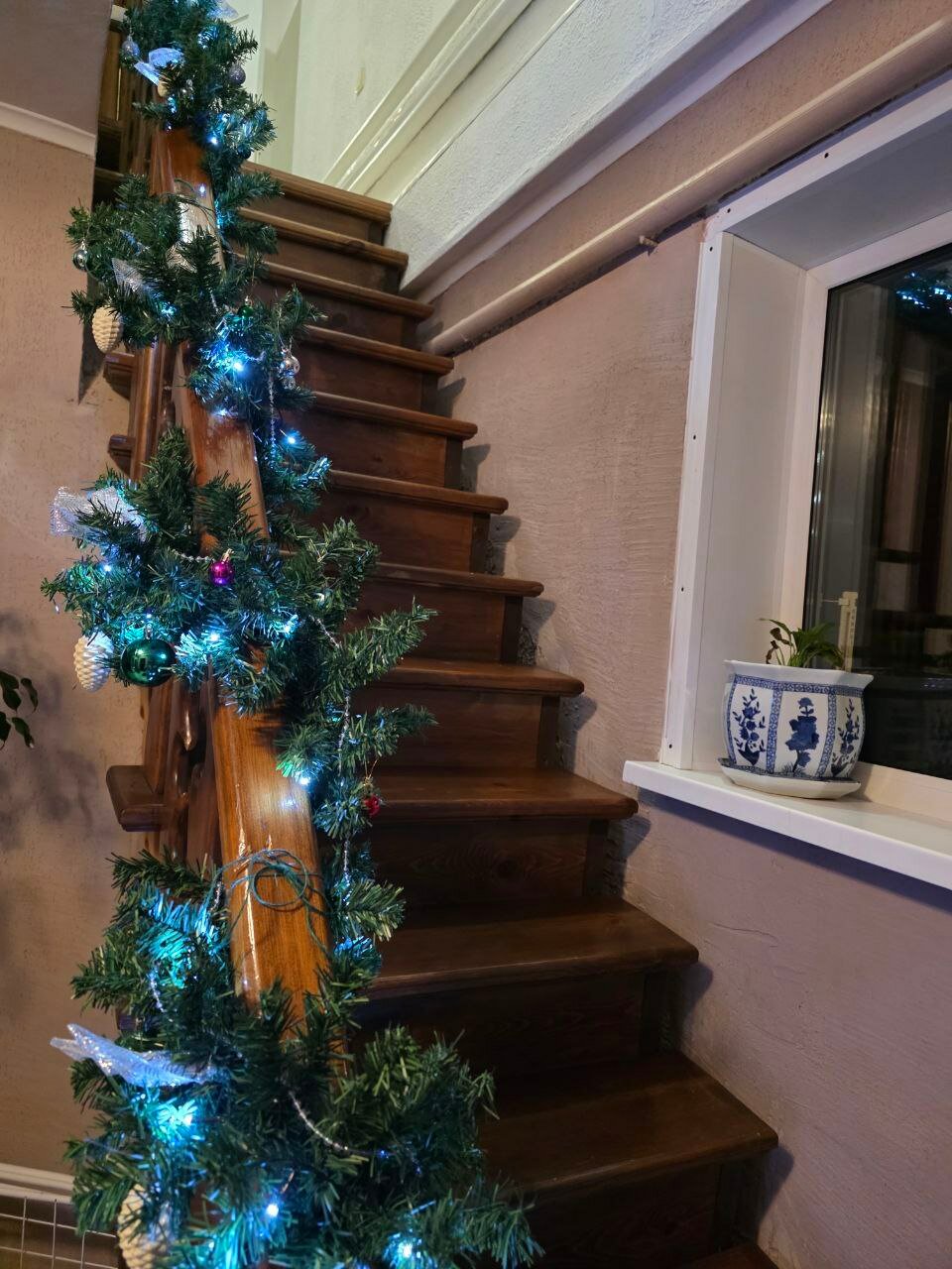 Фото Алтайские звездочки