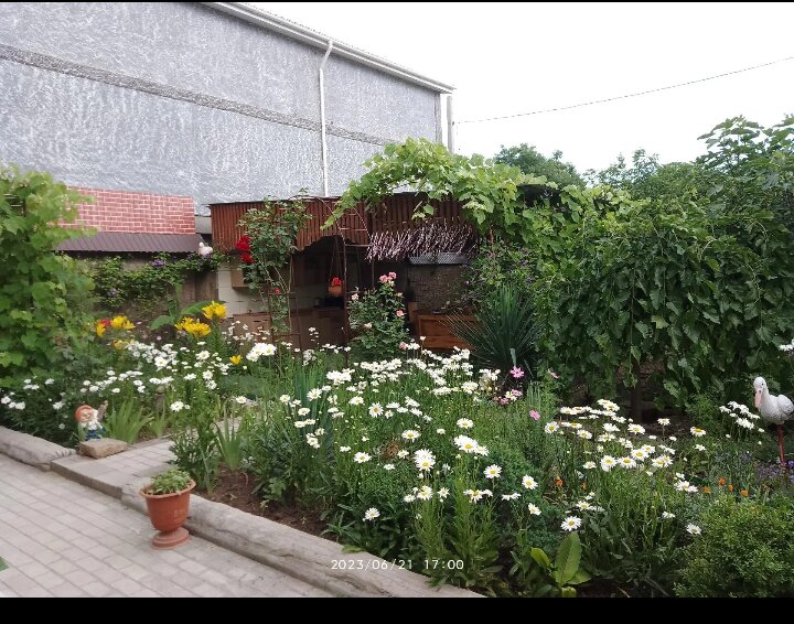 Фото Талисман