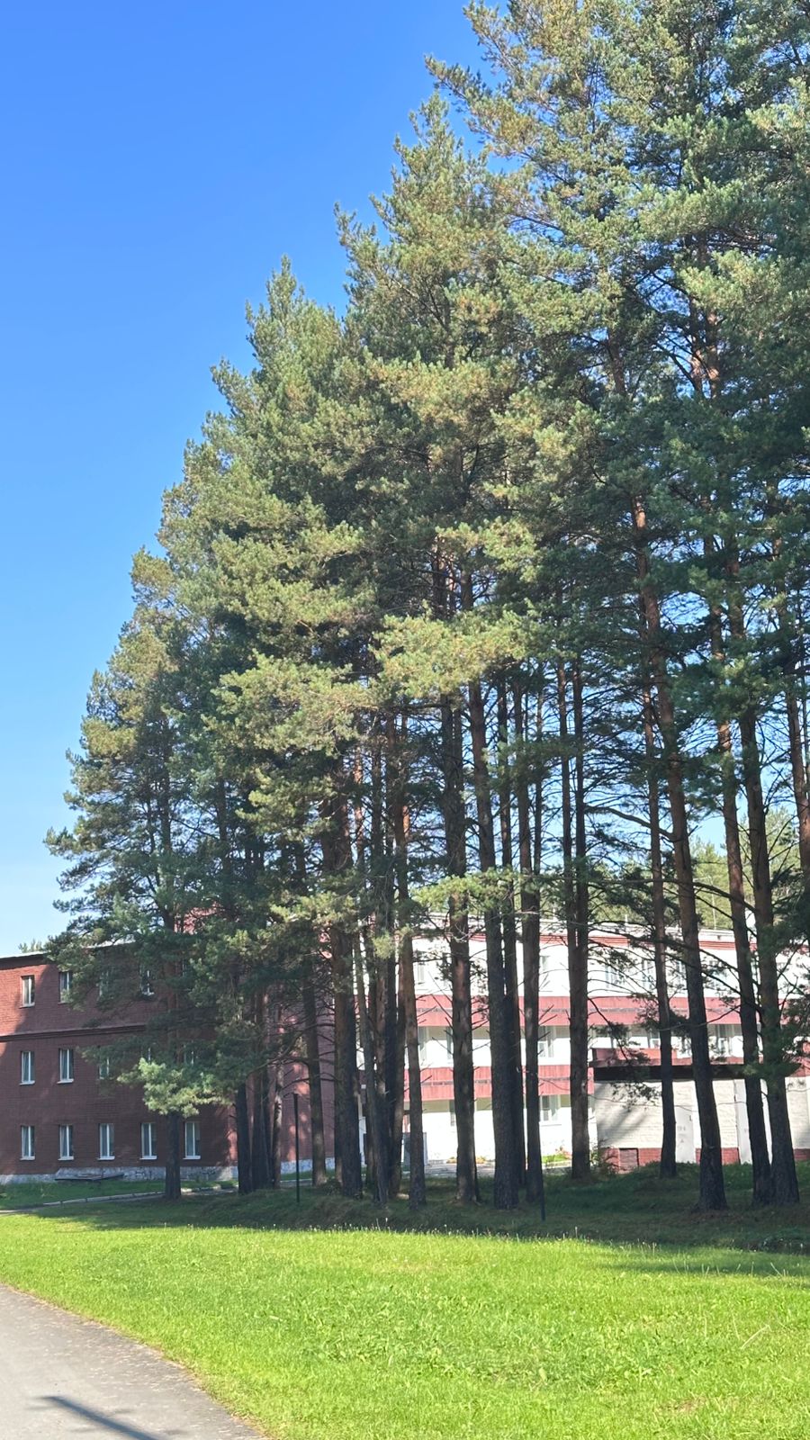 Фото Санаторий-профилакторий Дюжонок