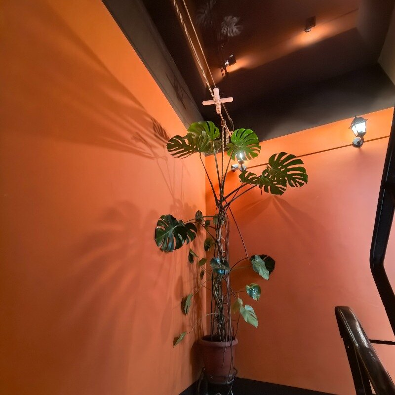 Фото Сон lite