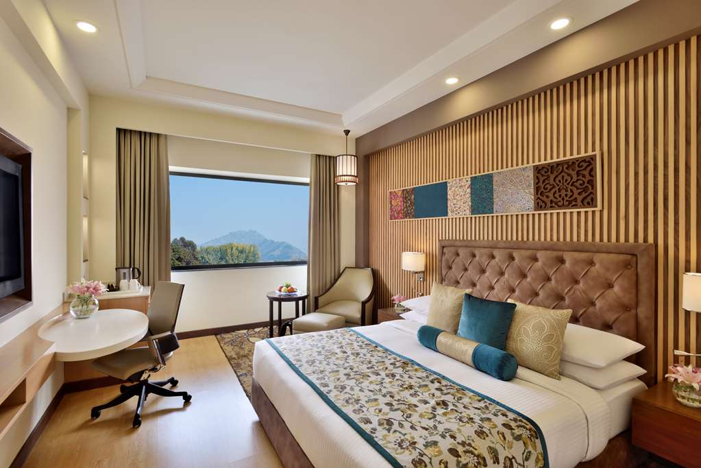 Фото Radisson Srinagar