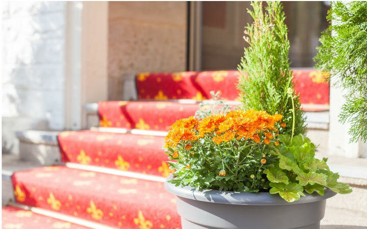 Фото Hotel Residence Mohr Gastro GmbH