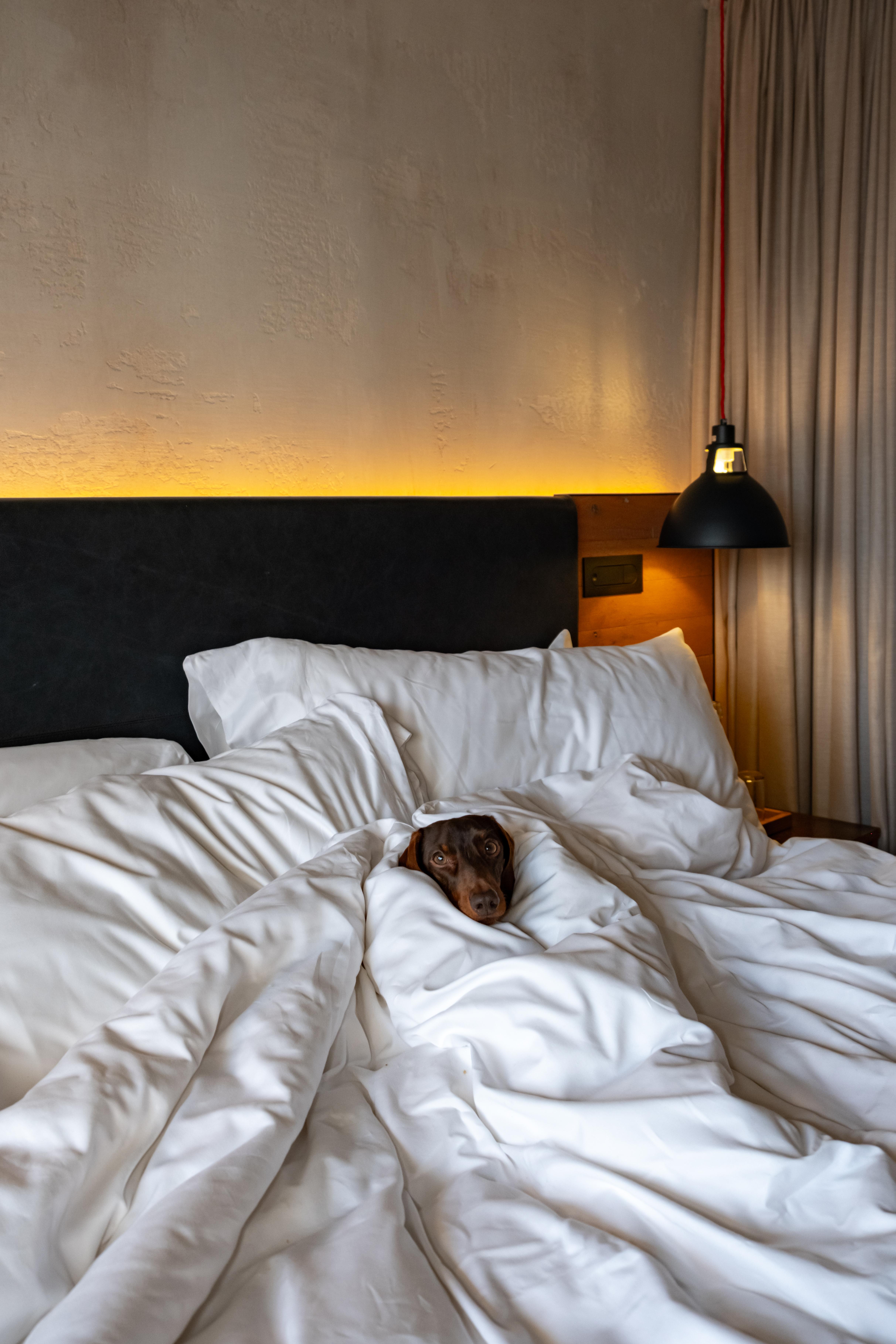 Фото Treehouse Hotel London