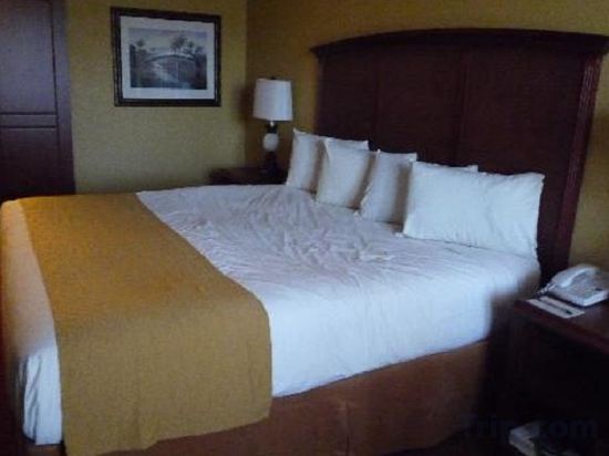 Фото Rosen Inn at Pointe Orlando