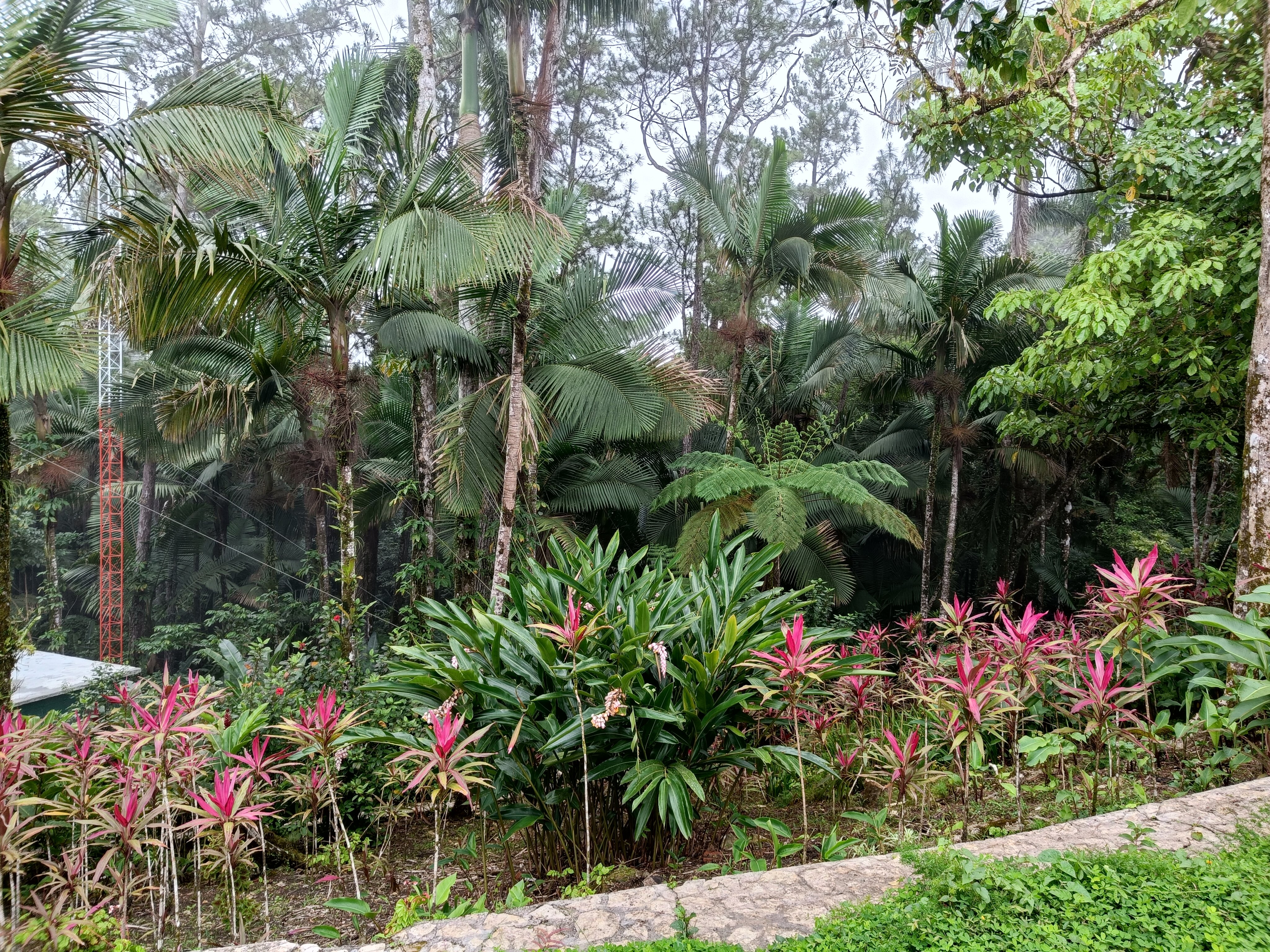 Фото Viva Tangerine by Wyndham, A Trademark All Inclusive