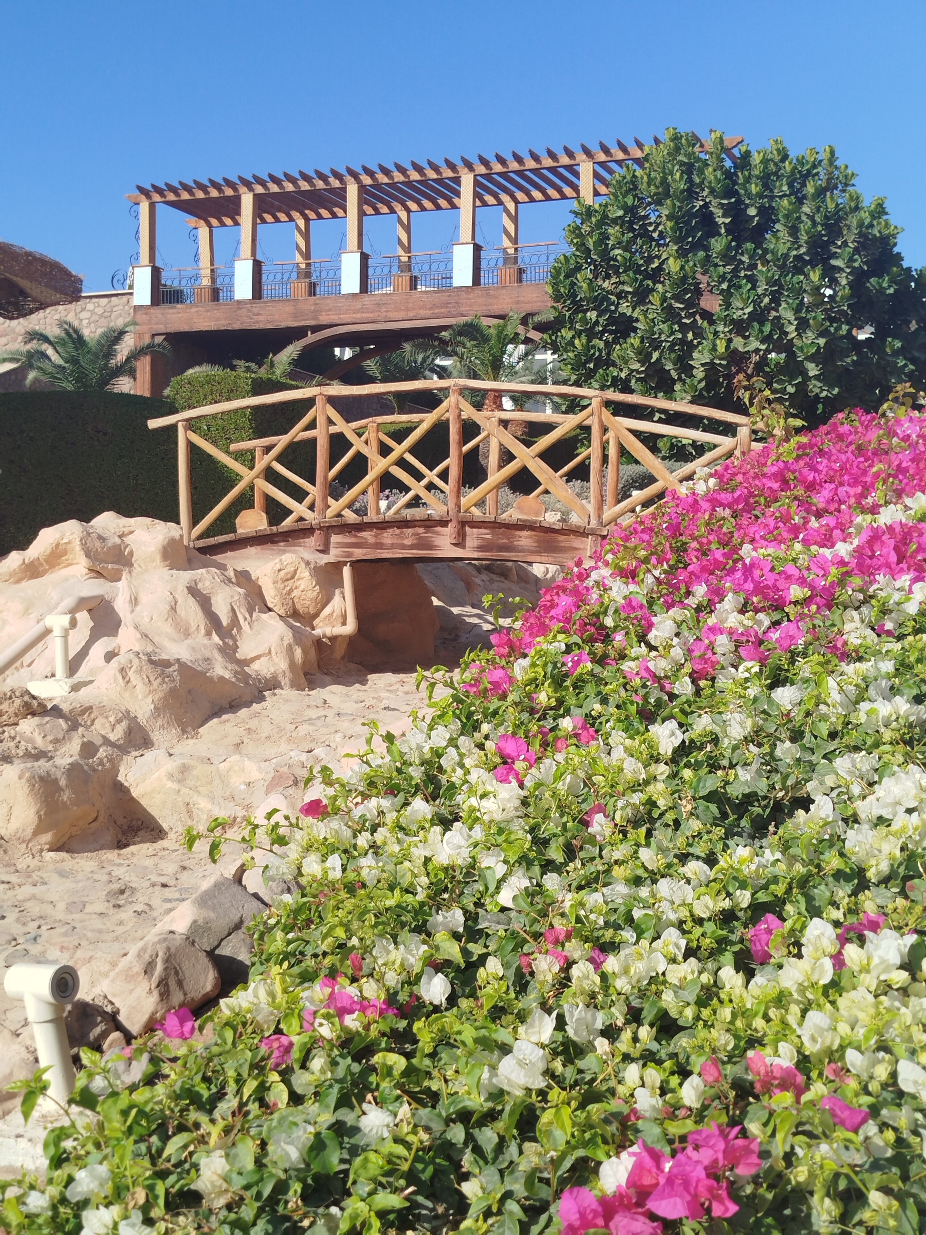 Safir Sharm Waterfalls - 2