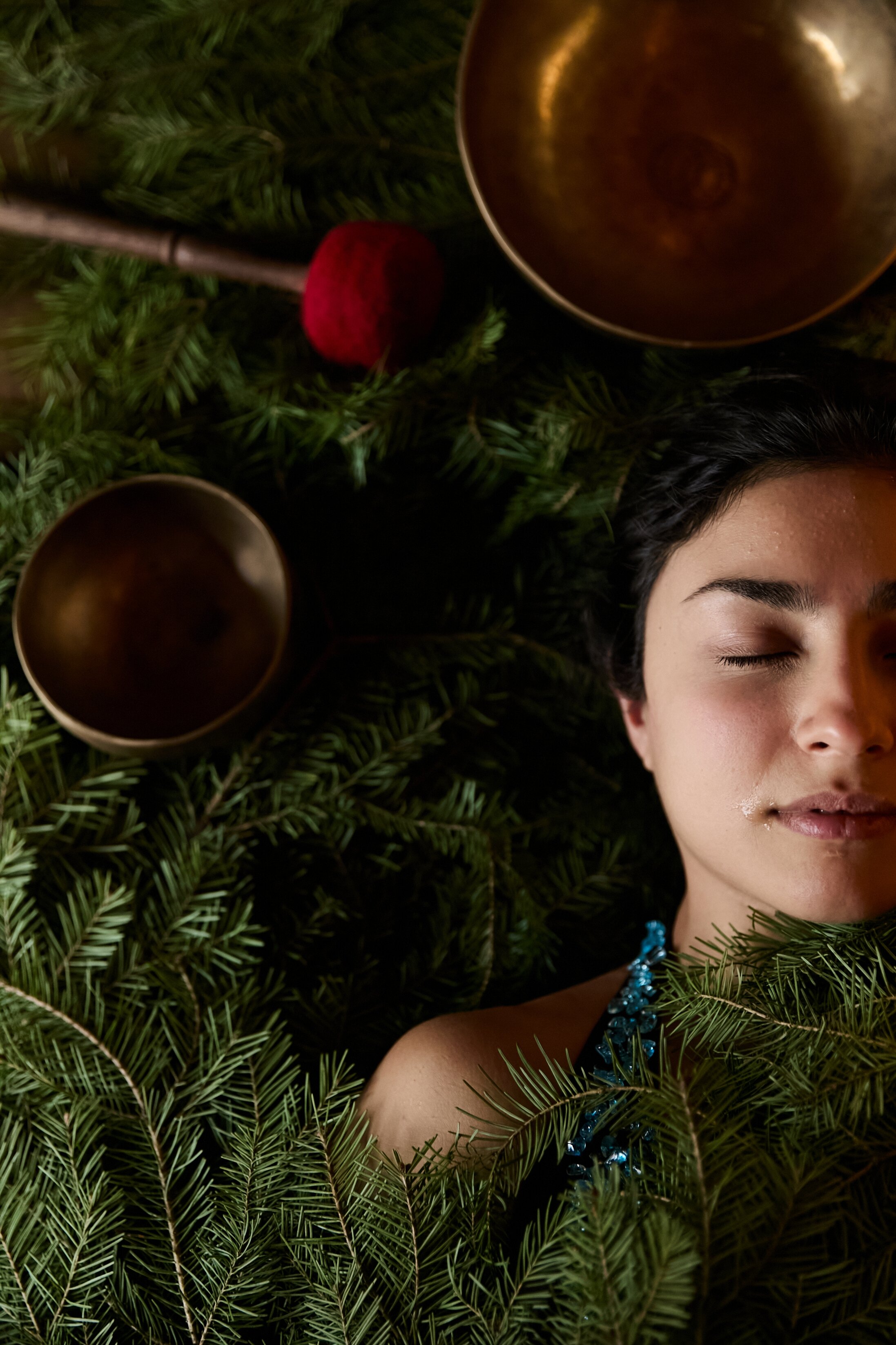 Фото Рябиновый берег