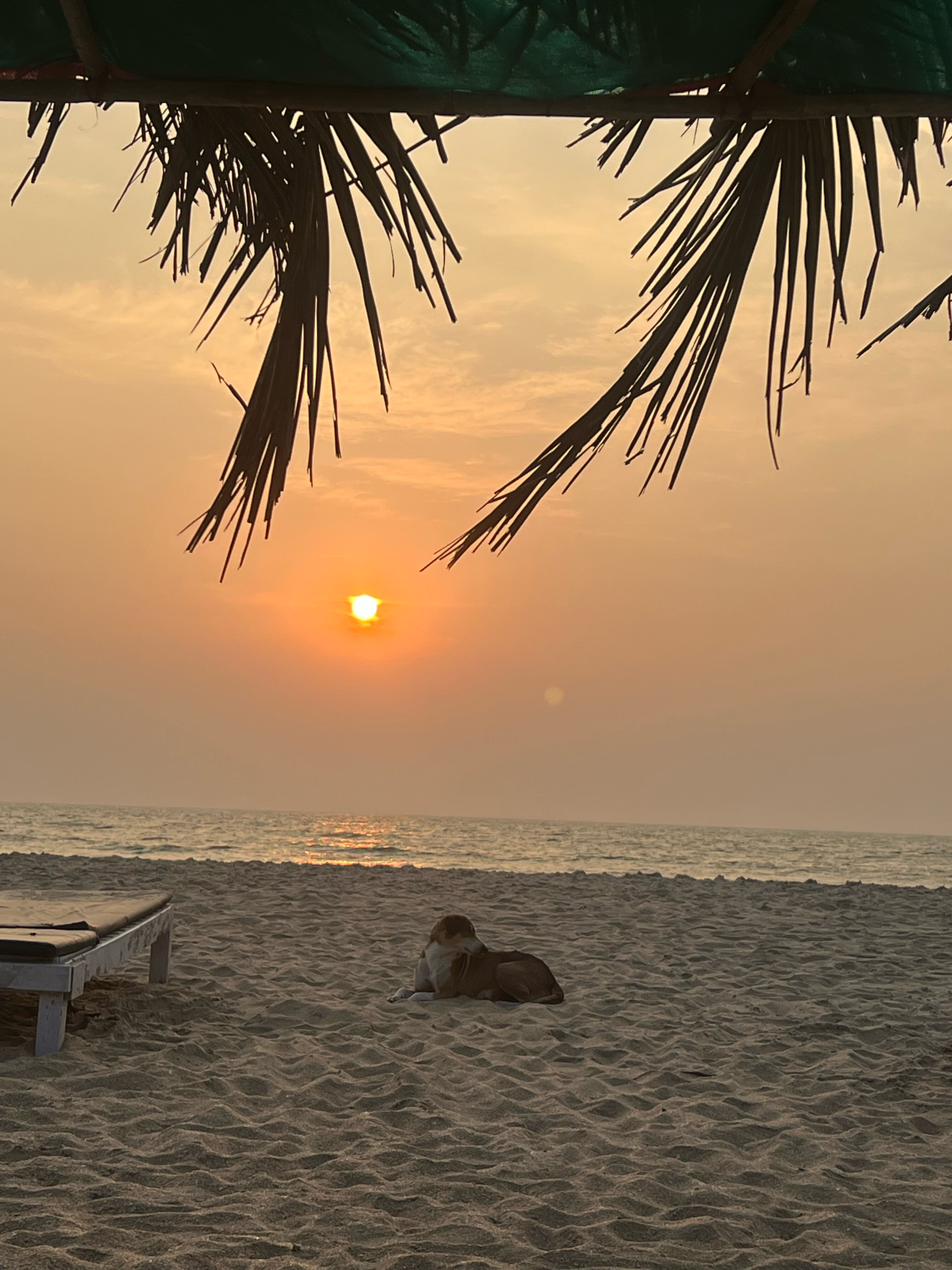 Фото Alagoa Resort