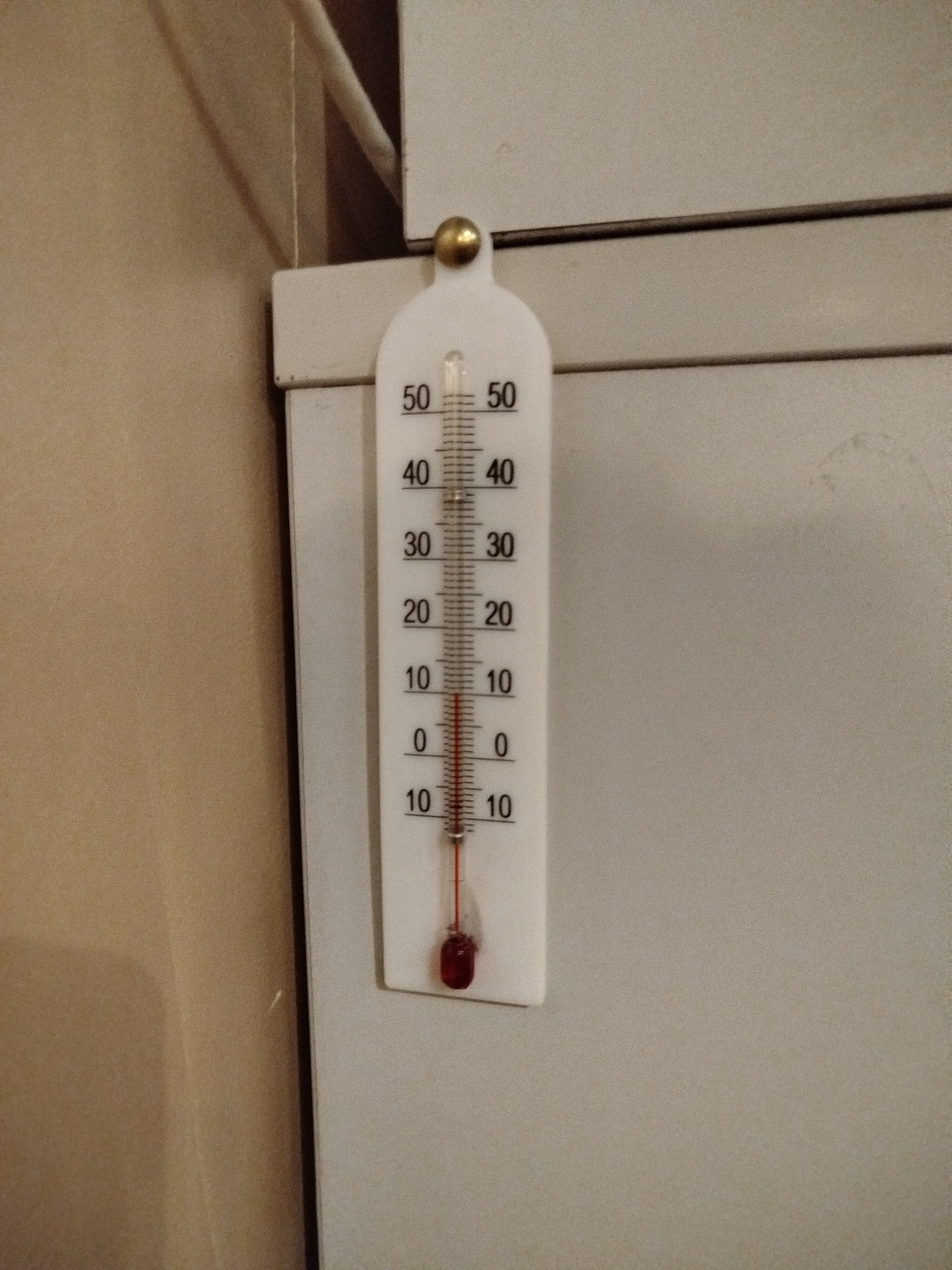 Фото Сарацин