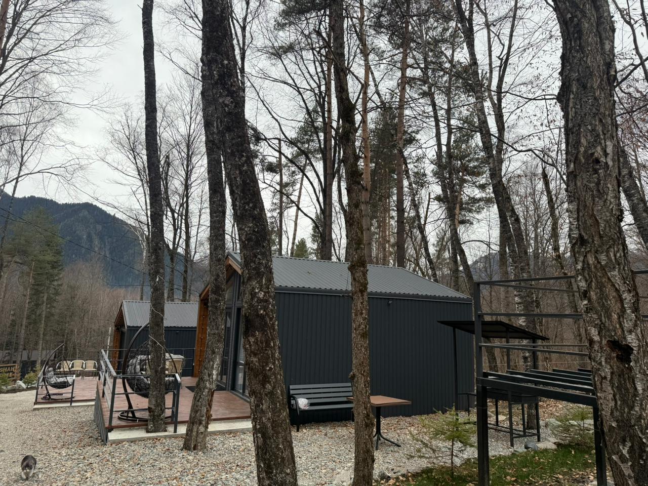 Фото Шёпот Леса