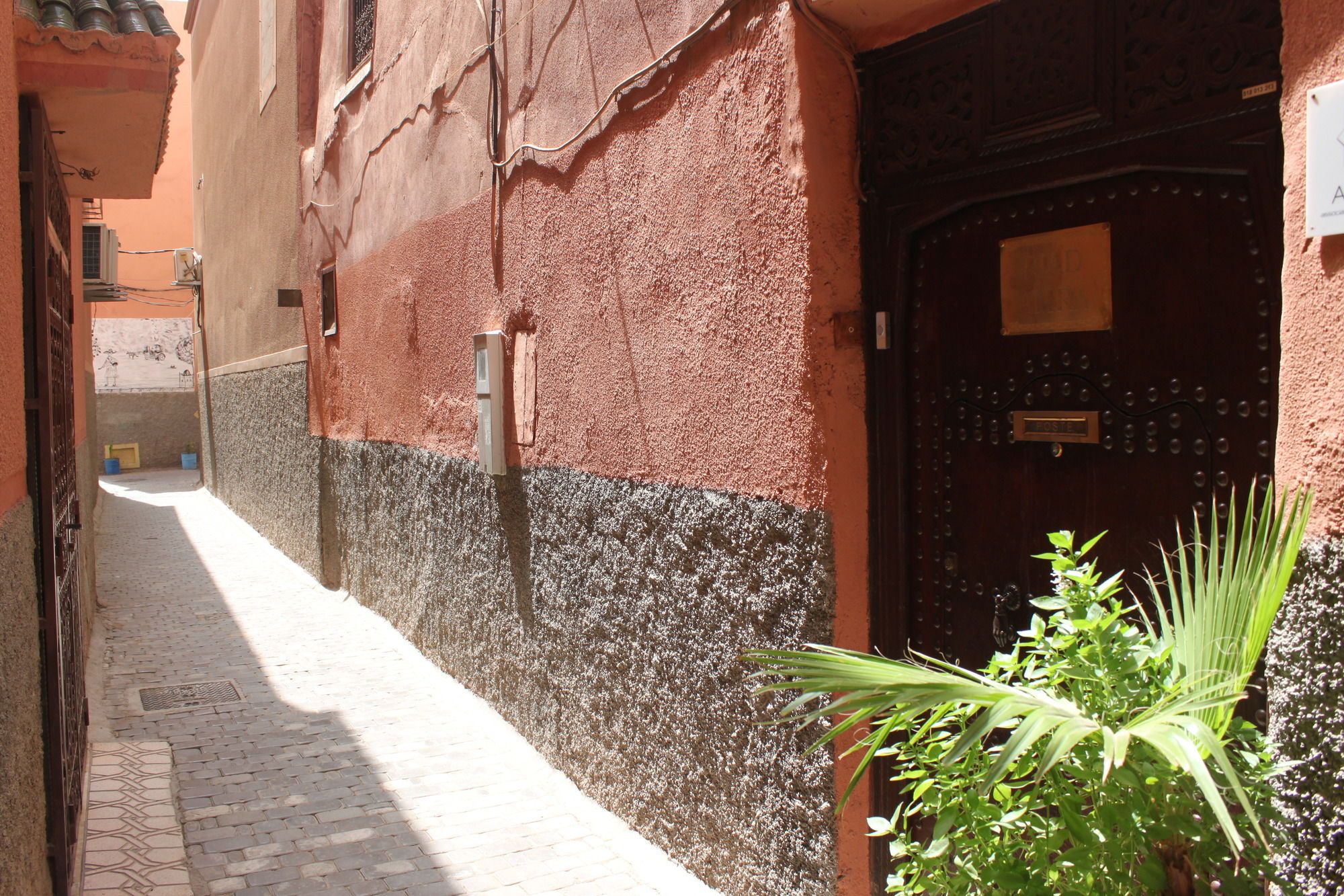 Фото Riad Amra