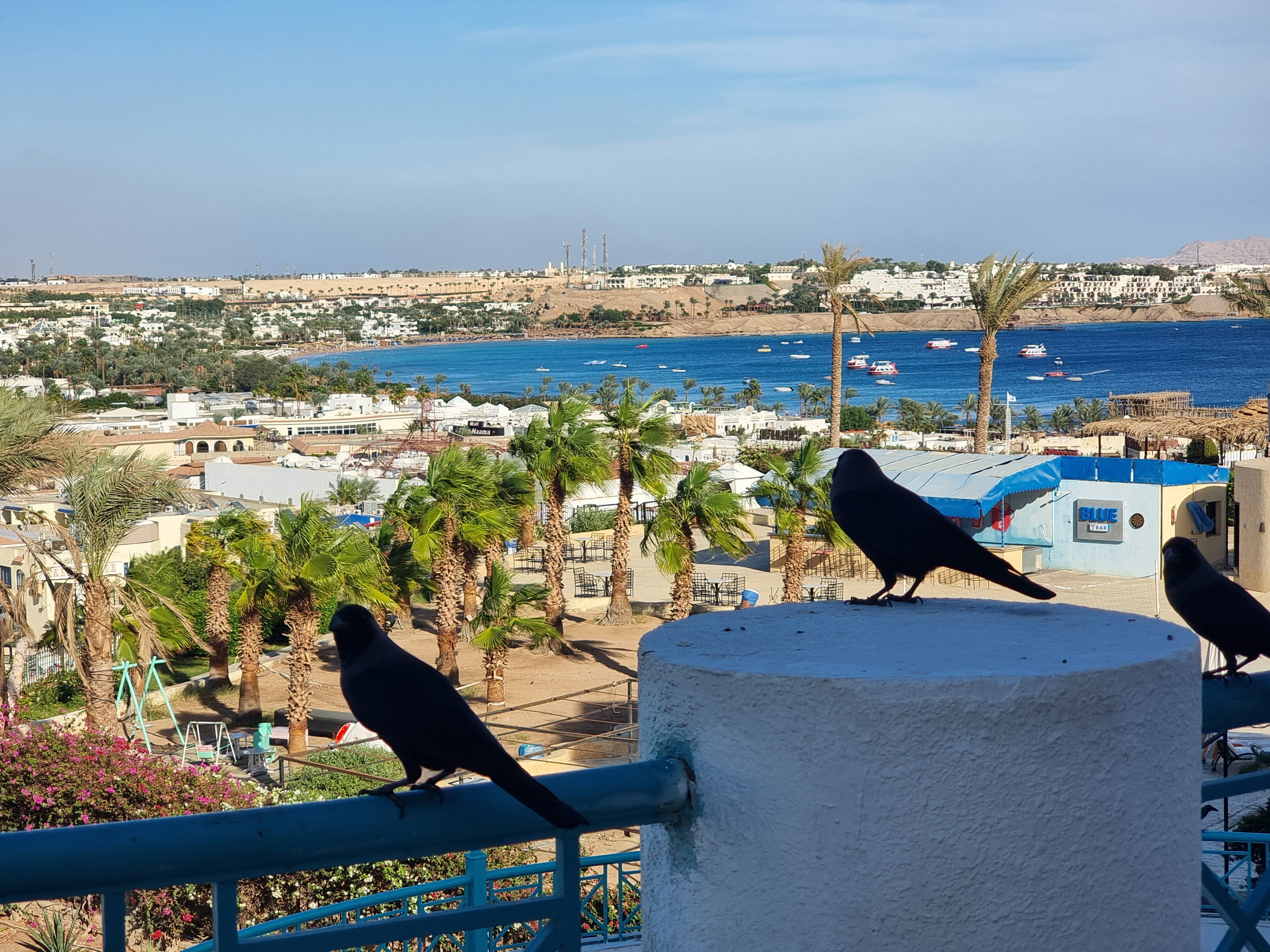 Фото Sharm Cliff Resort