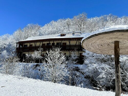Гостиница Ecokayan Dilijan Resort Hotel в Дилижане