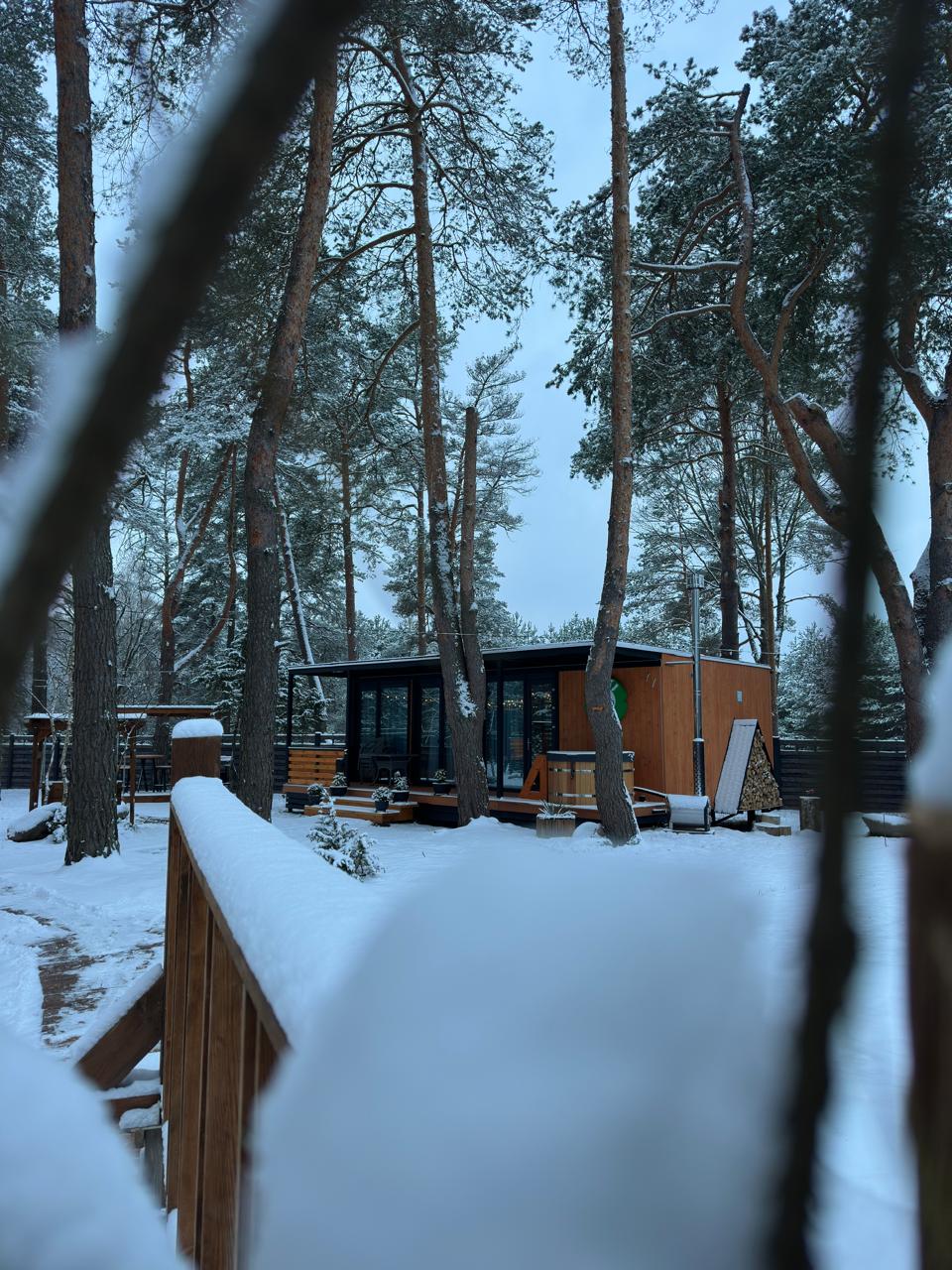 Фото Дикий гусь