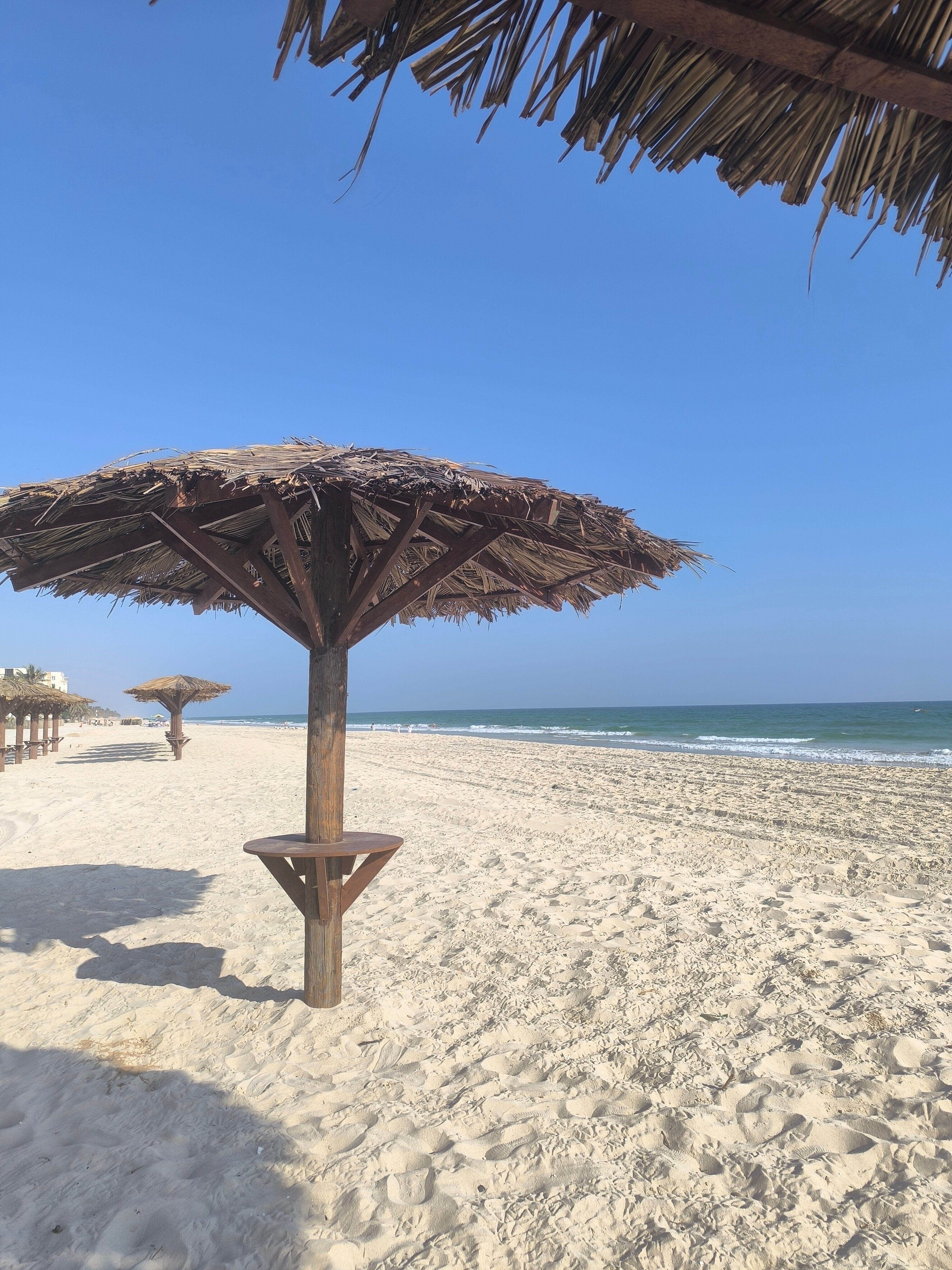 Фото Salalah Gardens Hotel