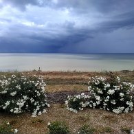 Фото Глория