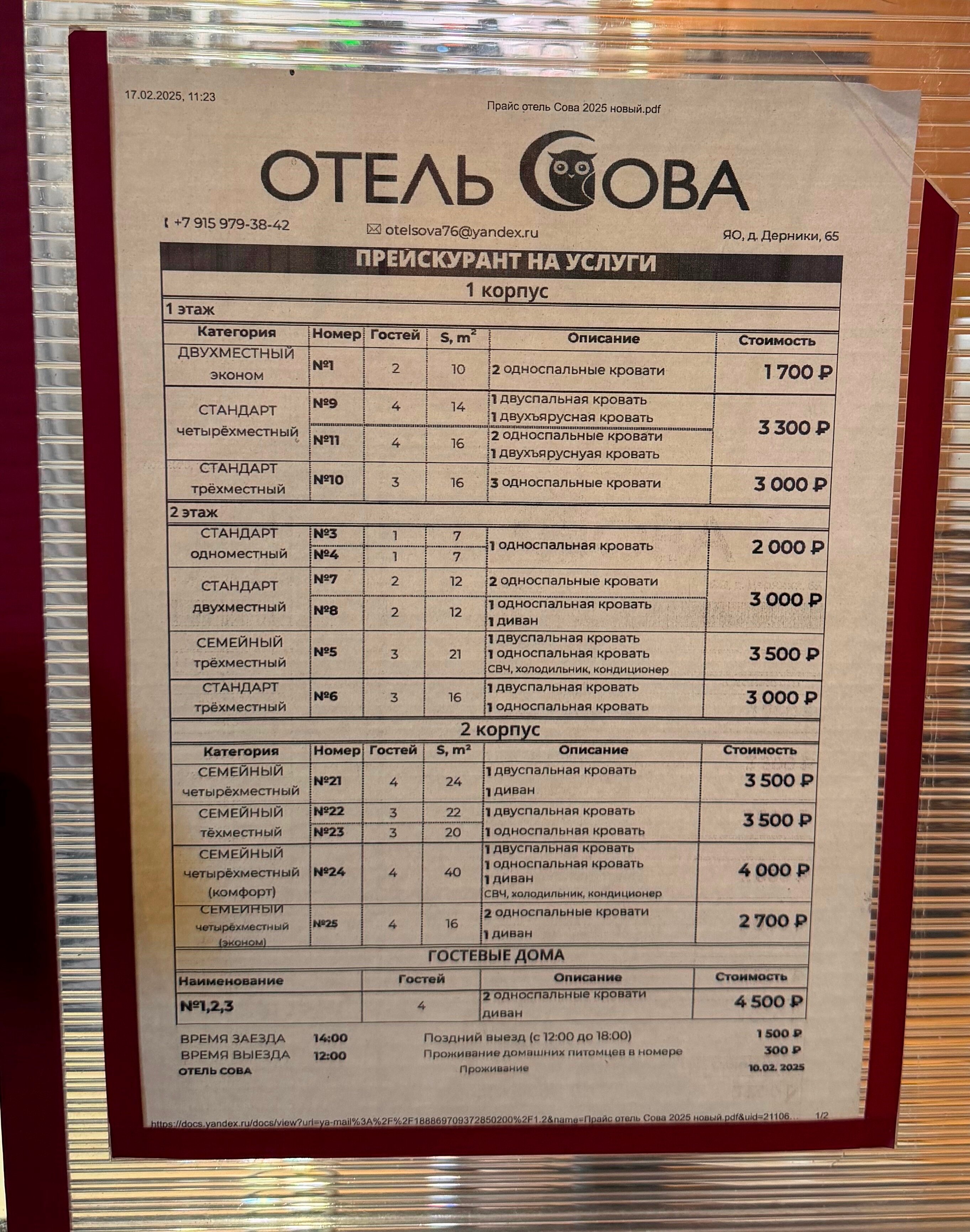 Фото Сова