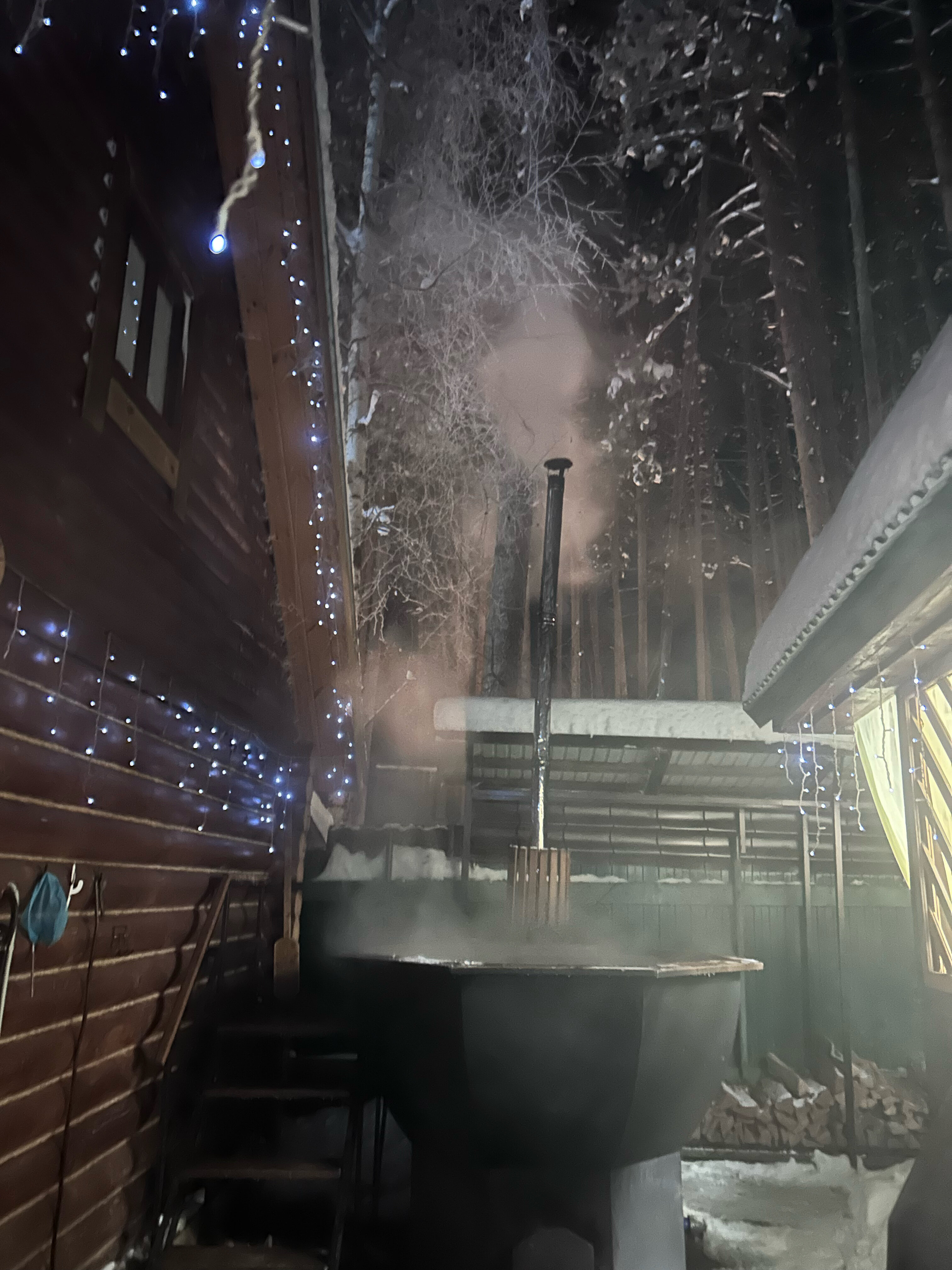 Фото Усадьба Волжское лесничество