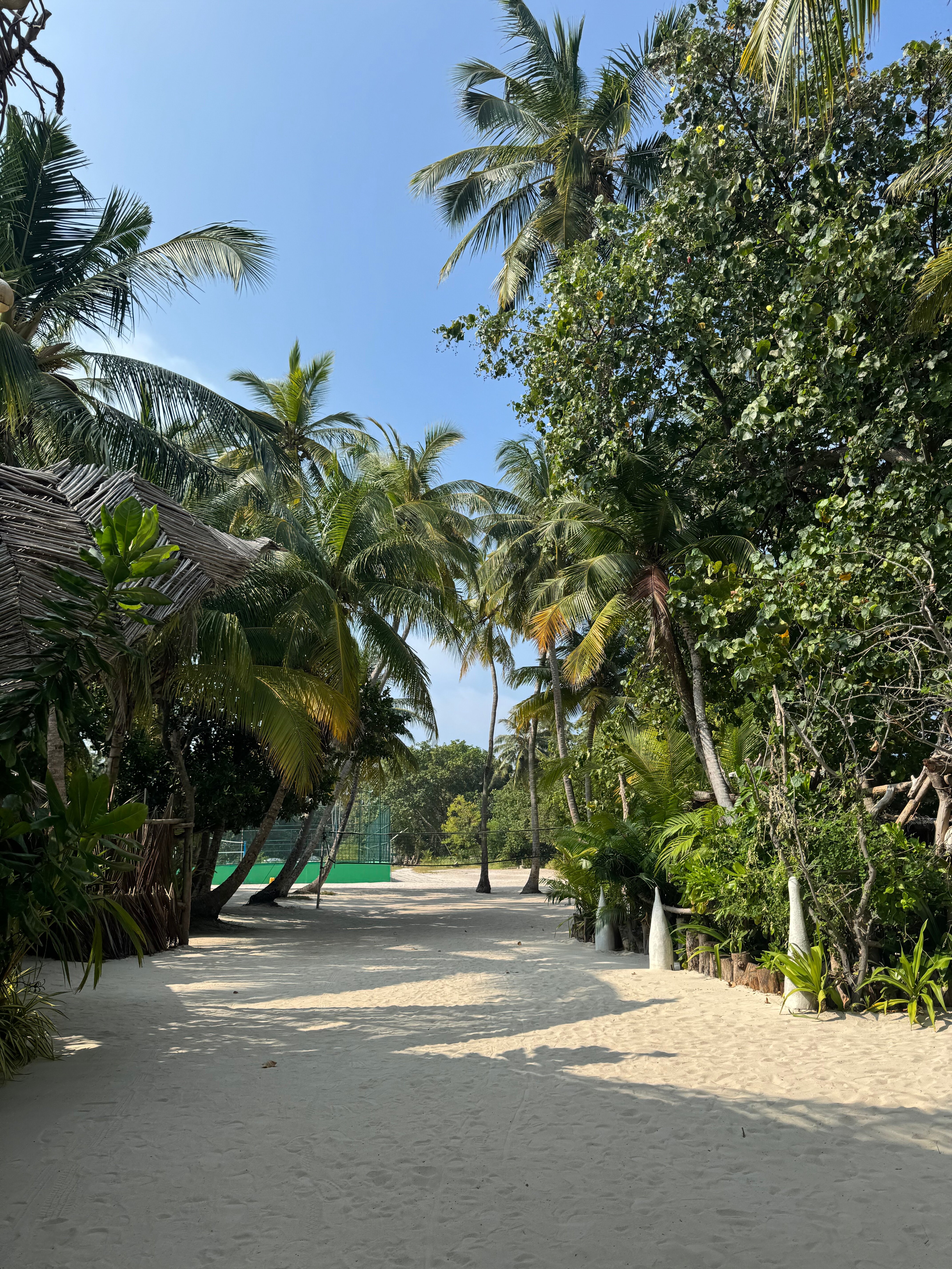 Фото Ecoboo Maldives