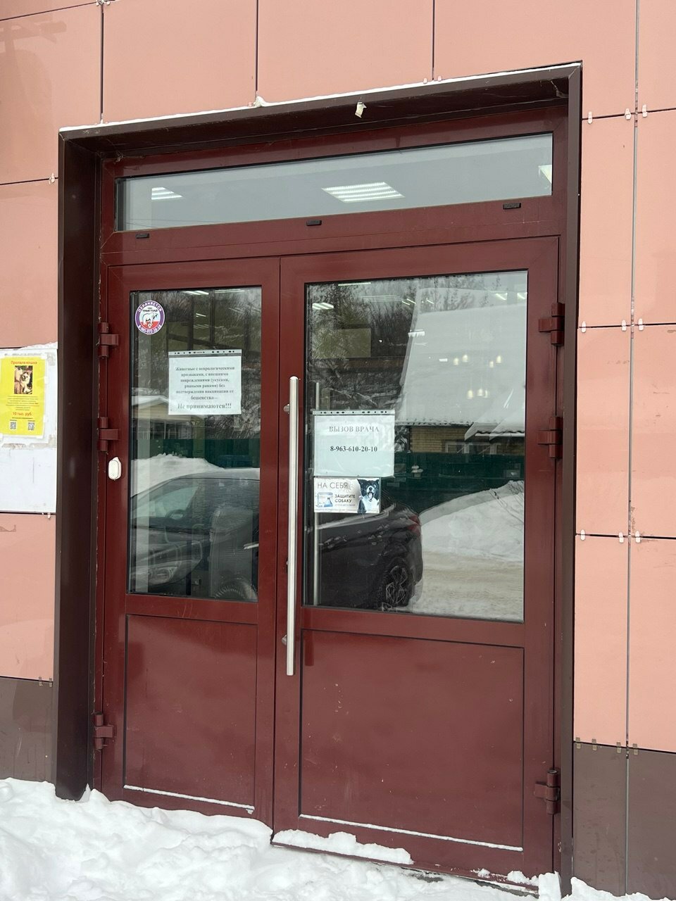 Снежный Барс - фото 14