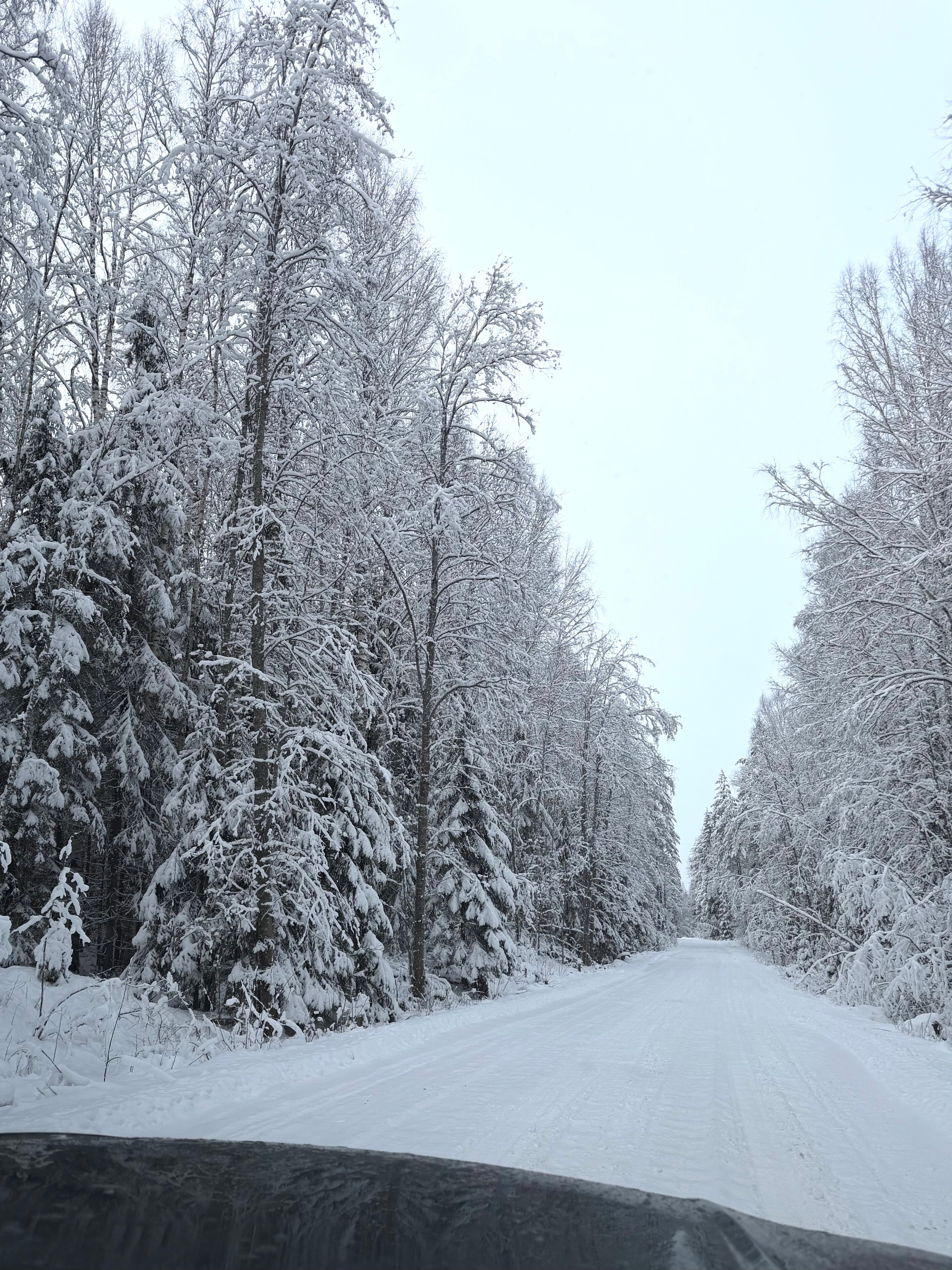 Фото Шуйский залив