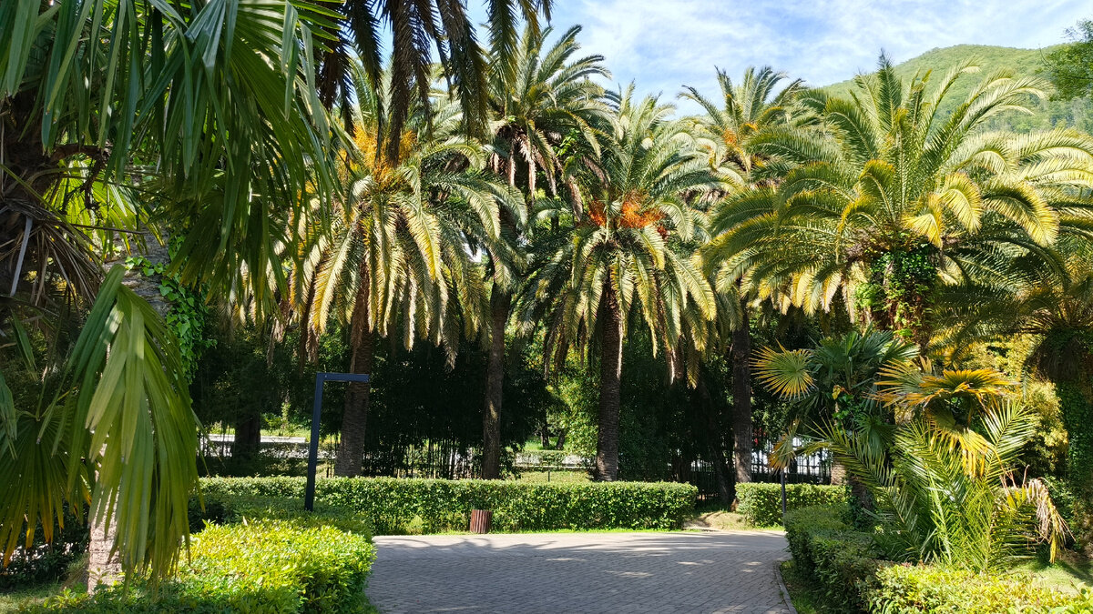 Фото У своих