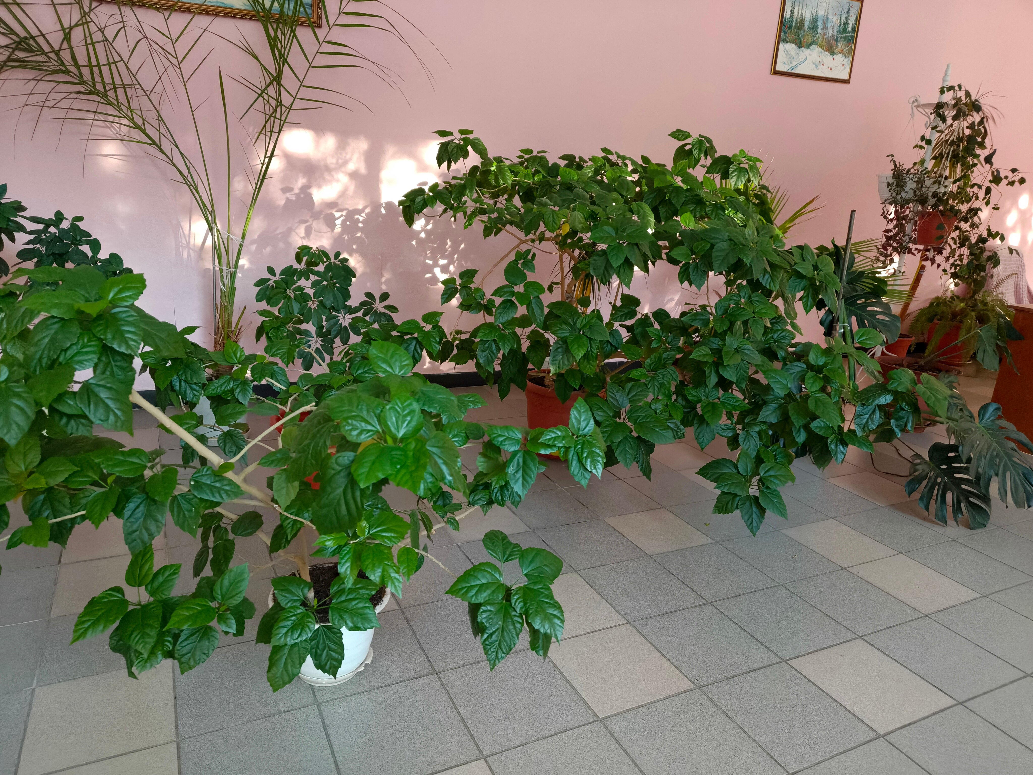 Фото Томь-Усинский