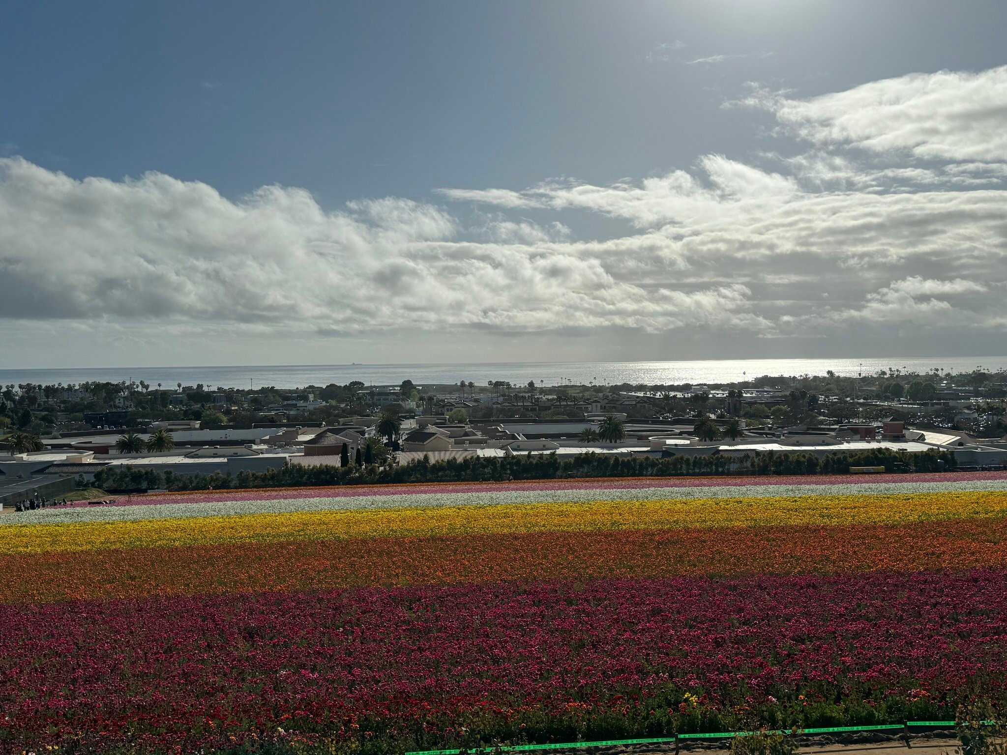 Фото Holiday Inn Express Hotel & Suites Carlsbad Beach, an Ihg Hotel