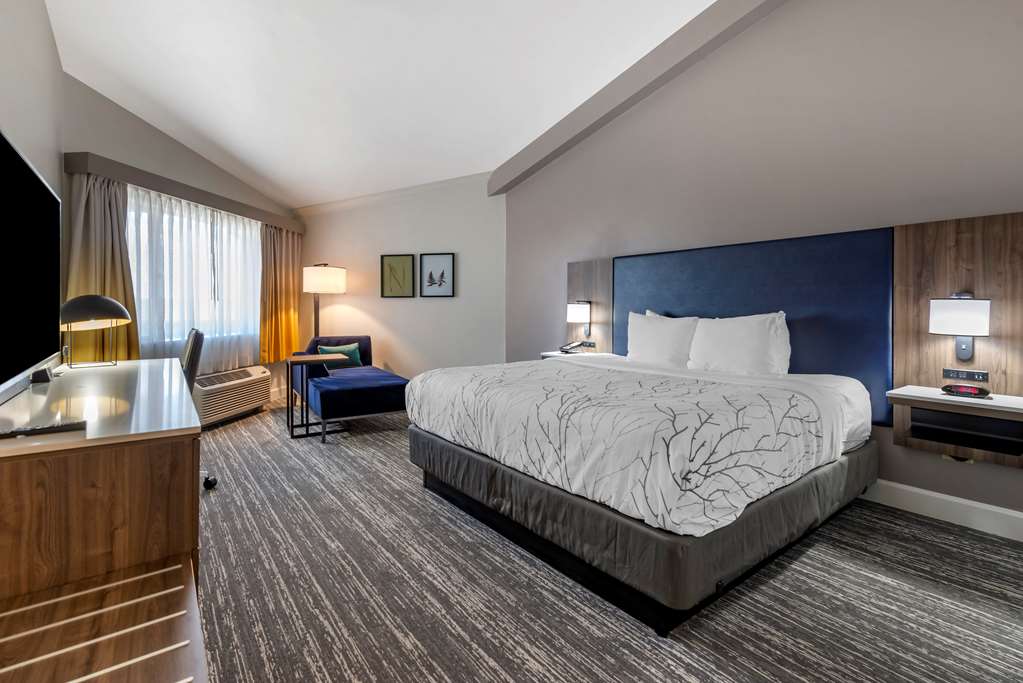 Фото Best Western Premier Denver East