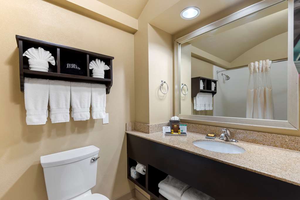 Фото Best Western Plus Arlington North Hotel & Suites