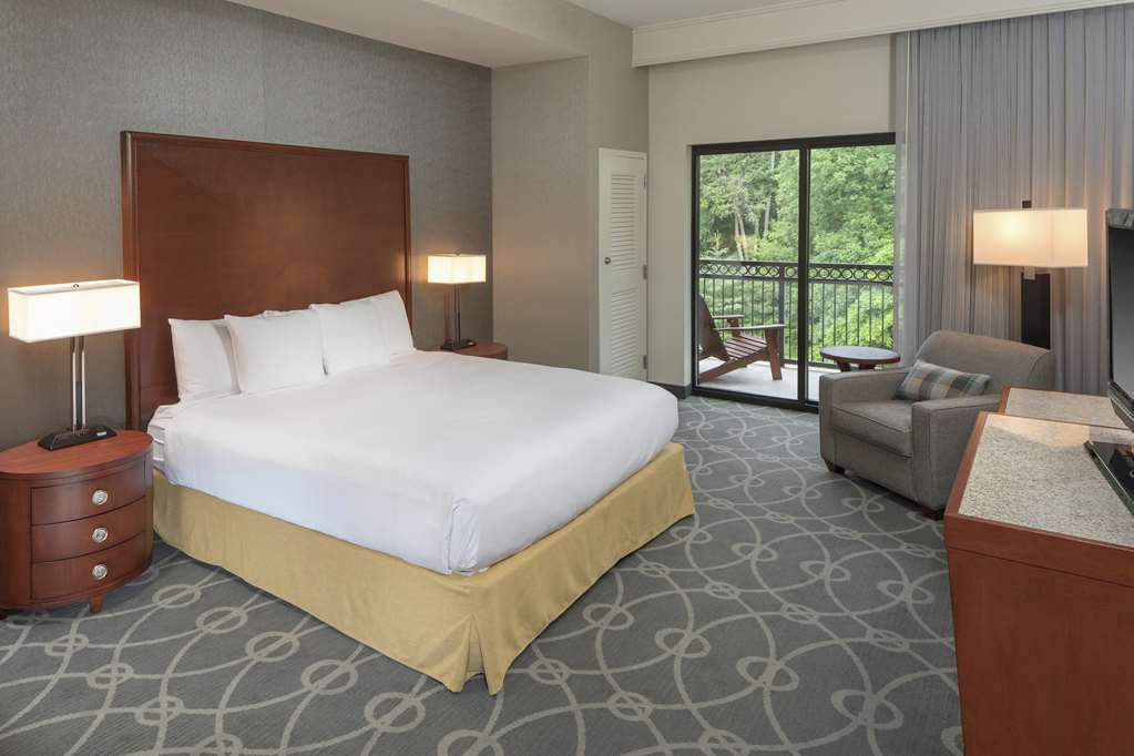 Фото DoubleTree by Hilton Asheville Biltmore