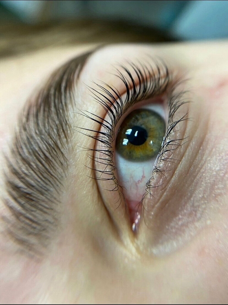 Eyebrow and eyelash salon Anastasia_lashes, Tula, photo