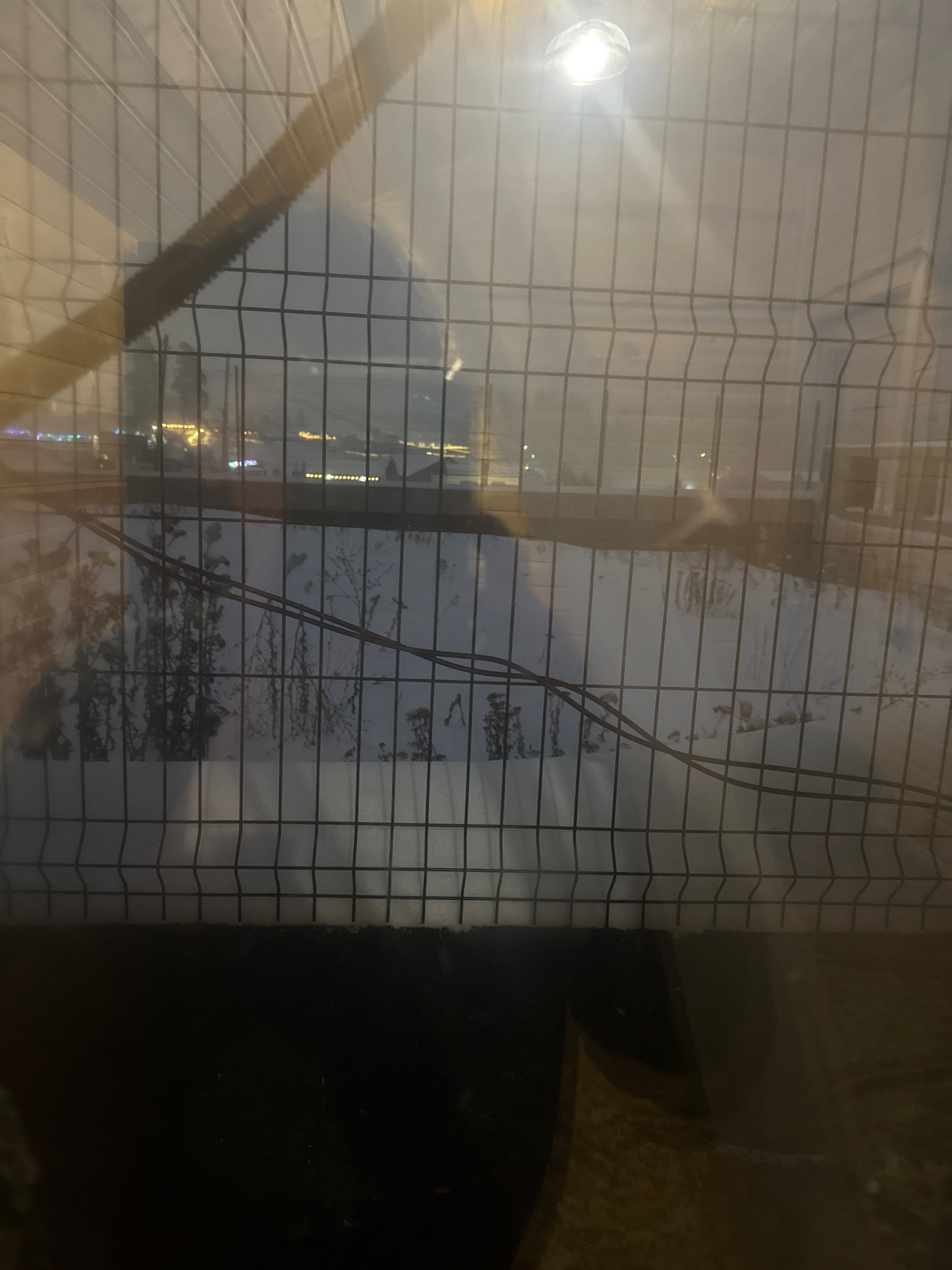 Фото Жемчужный берег