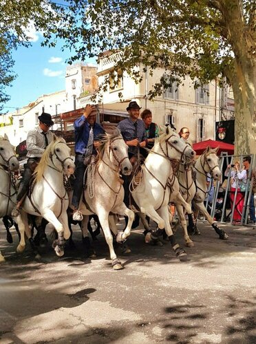 Внешний вид отеля Le Cheval Blanc в Арле, фото 5
