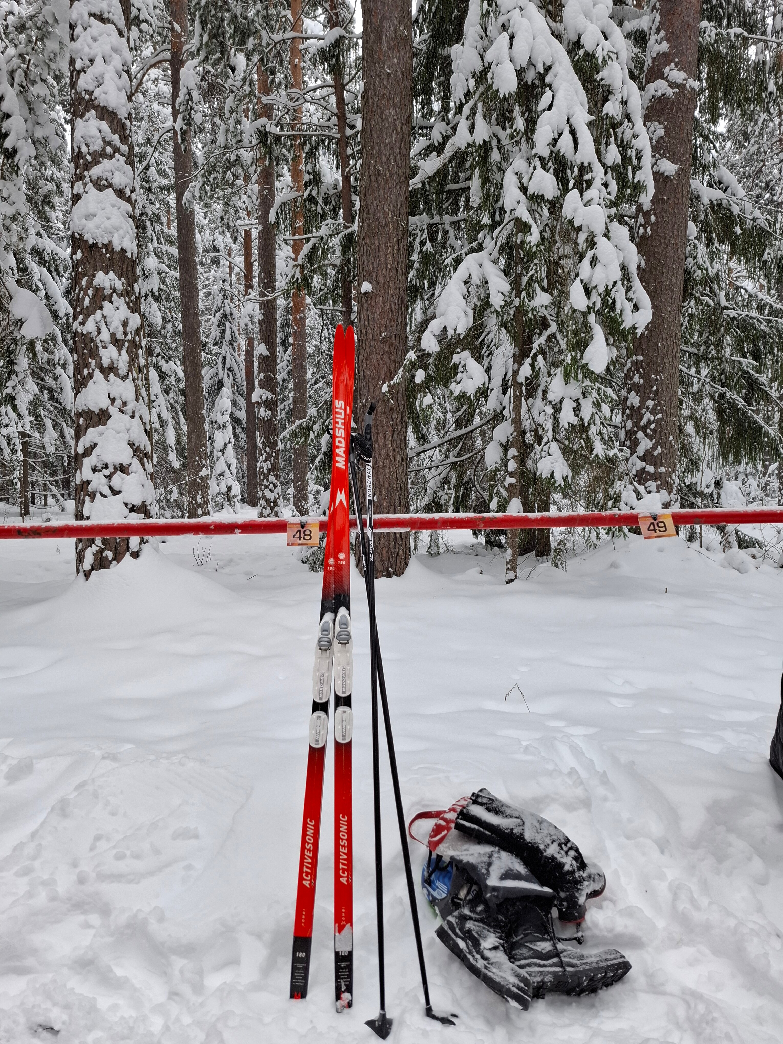 Фото Баринова роща