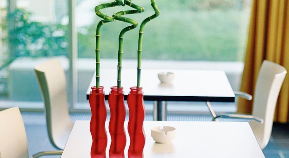 Фото Kyriad Vienna Altmannsdorf