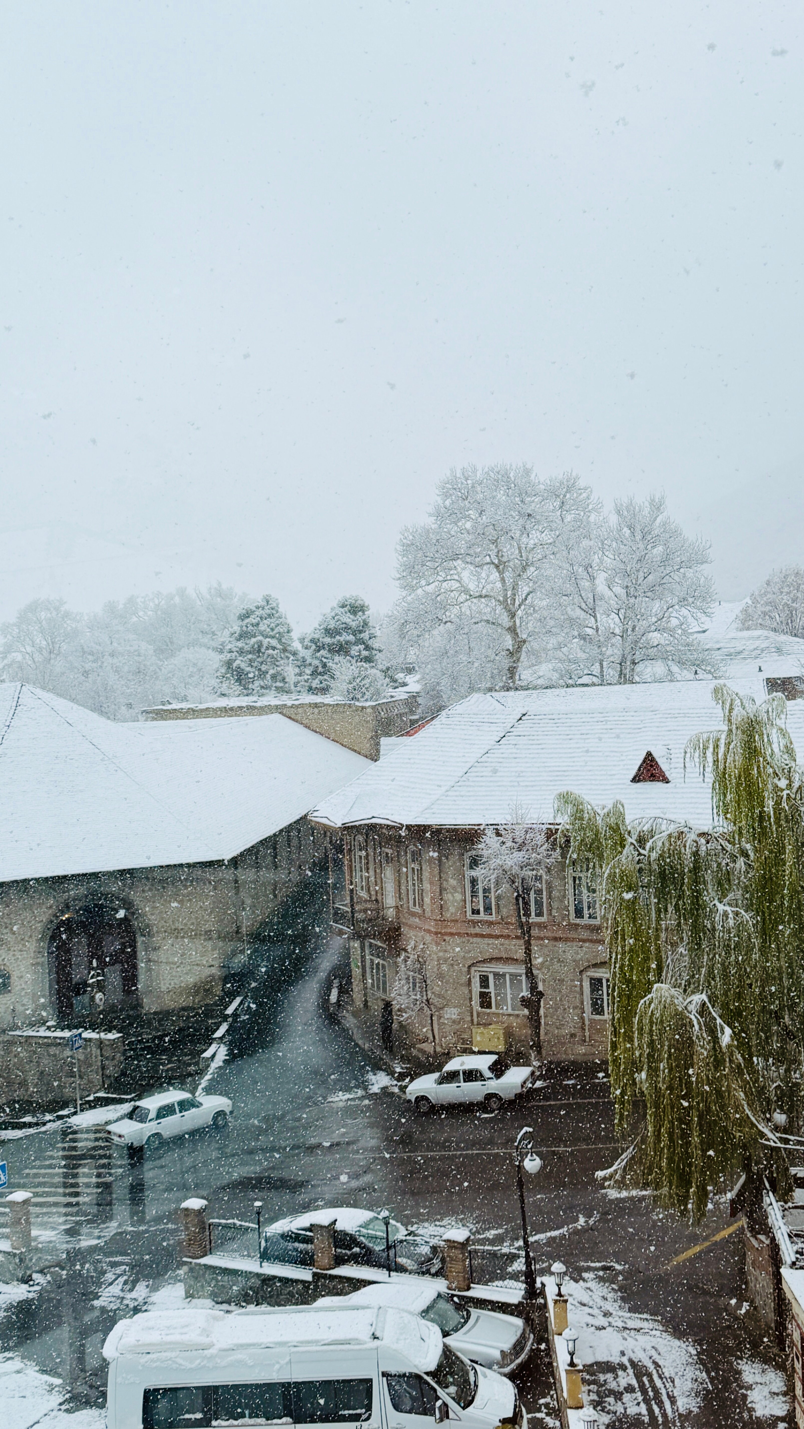 Фото Sheki Palace Hotel