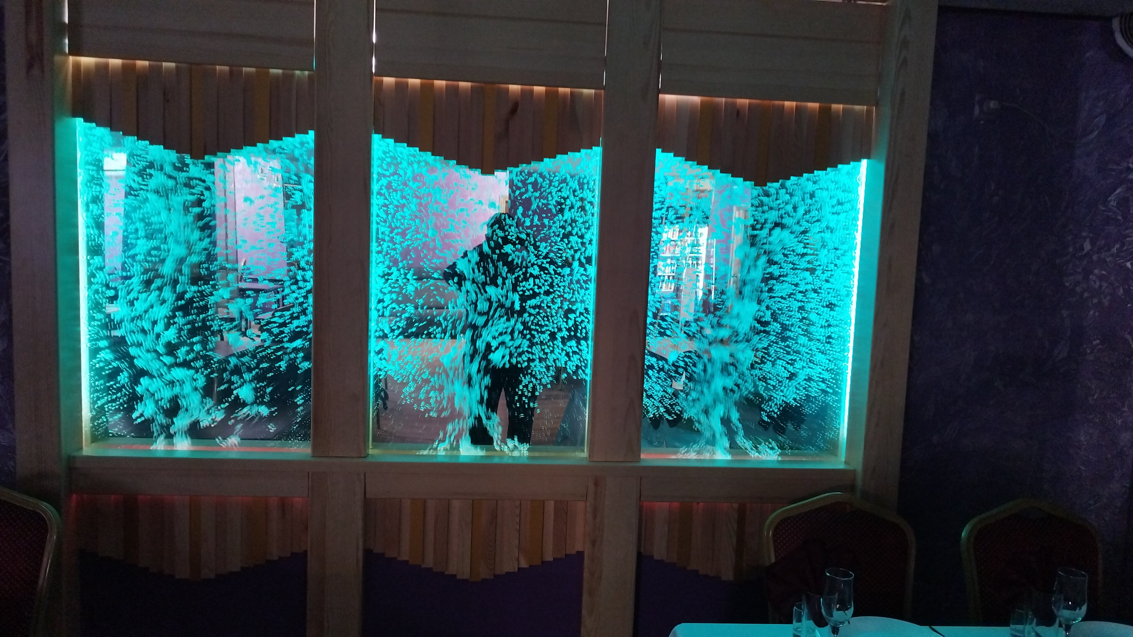 Фото Золотой лев