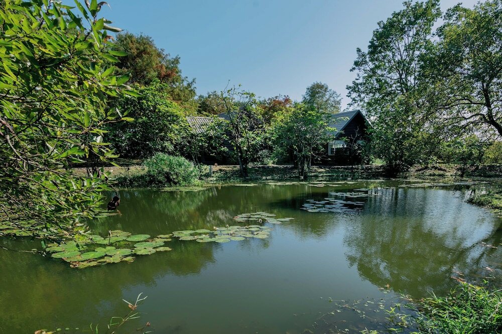 Фото Green Forest Villa