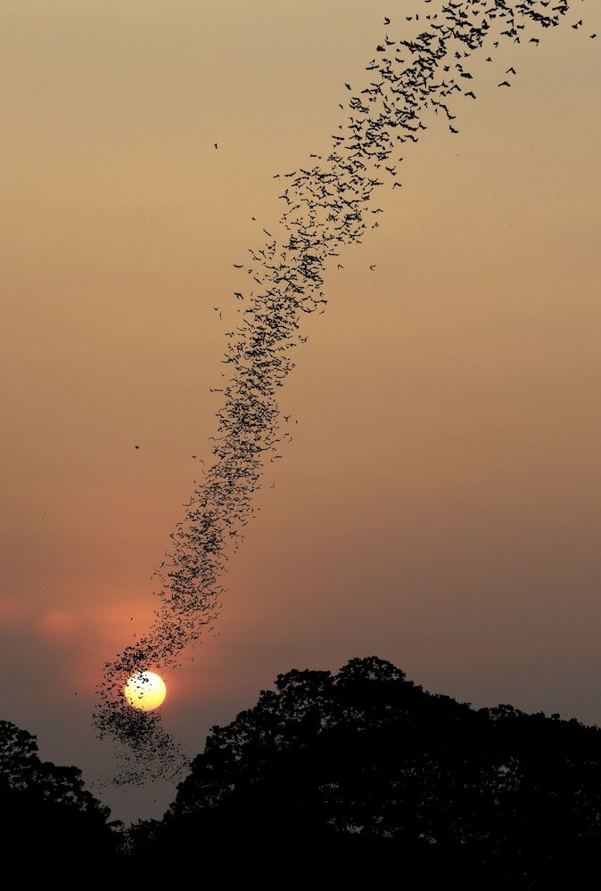 Фото Maisons Wat Kor
