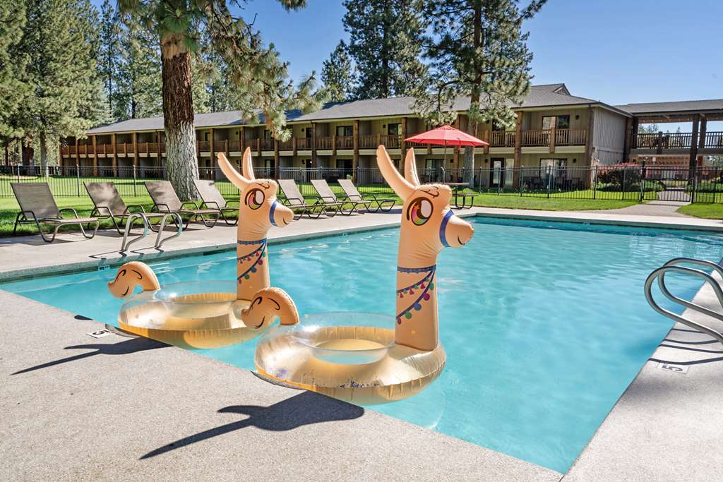 Фото Best Western Ponderosa Lodge