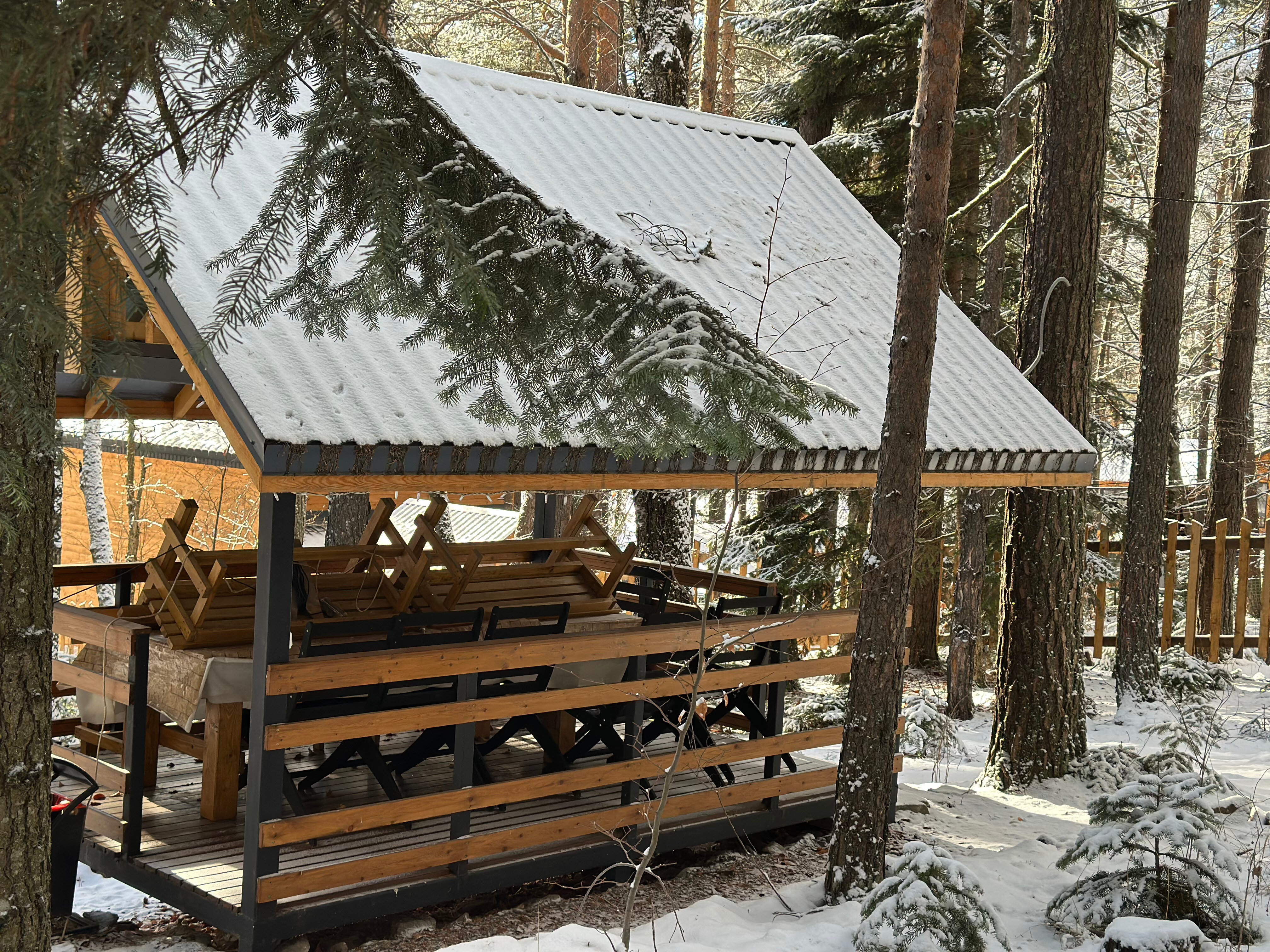 Фото Дух леса