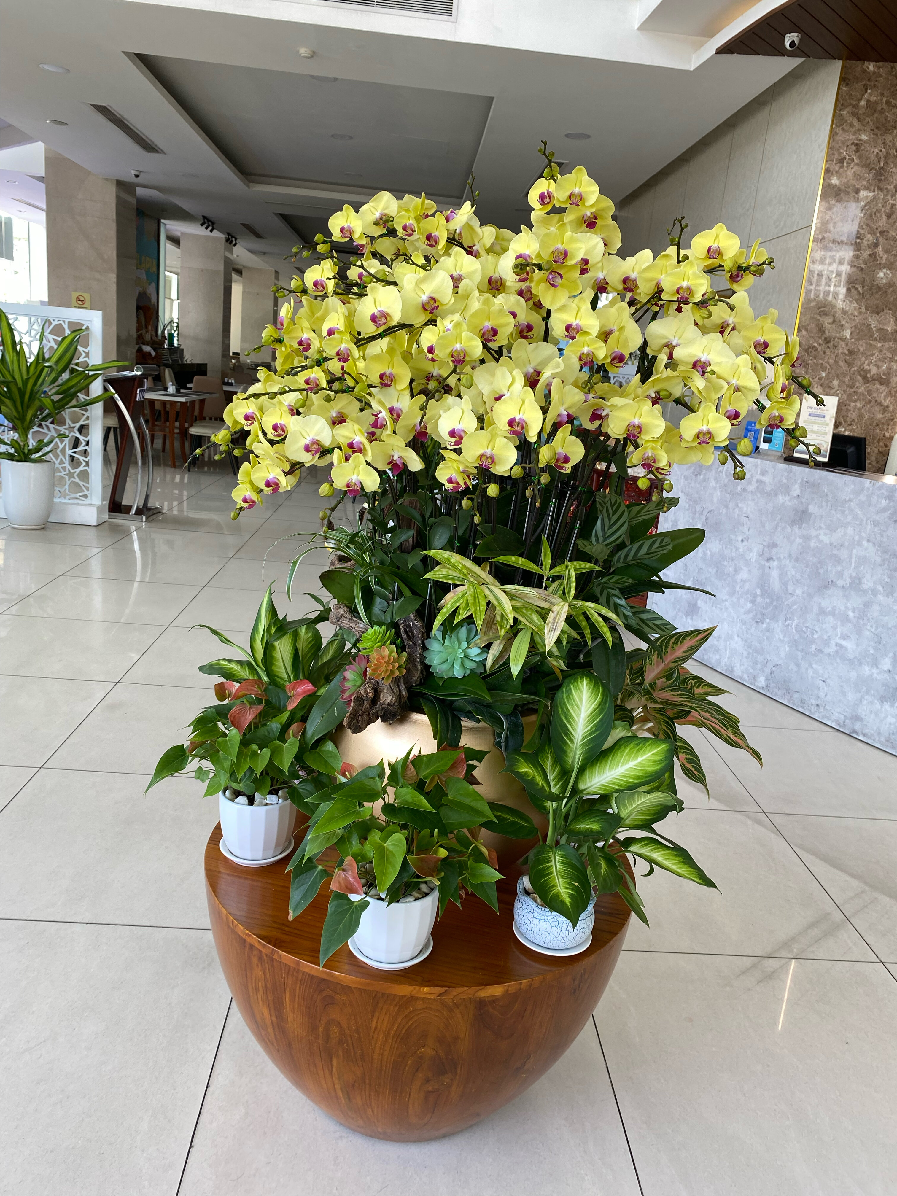 Фото Ttc Hotel Premium Michelia